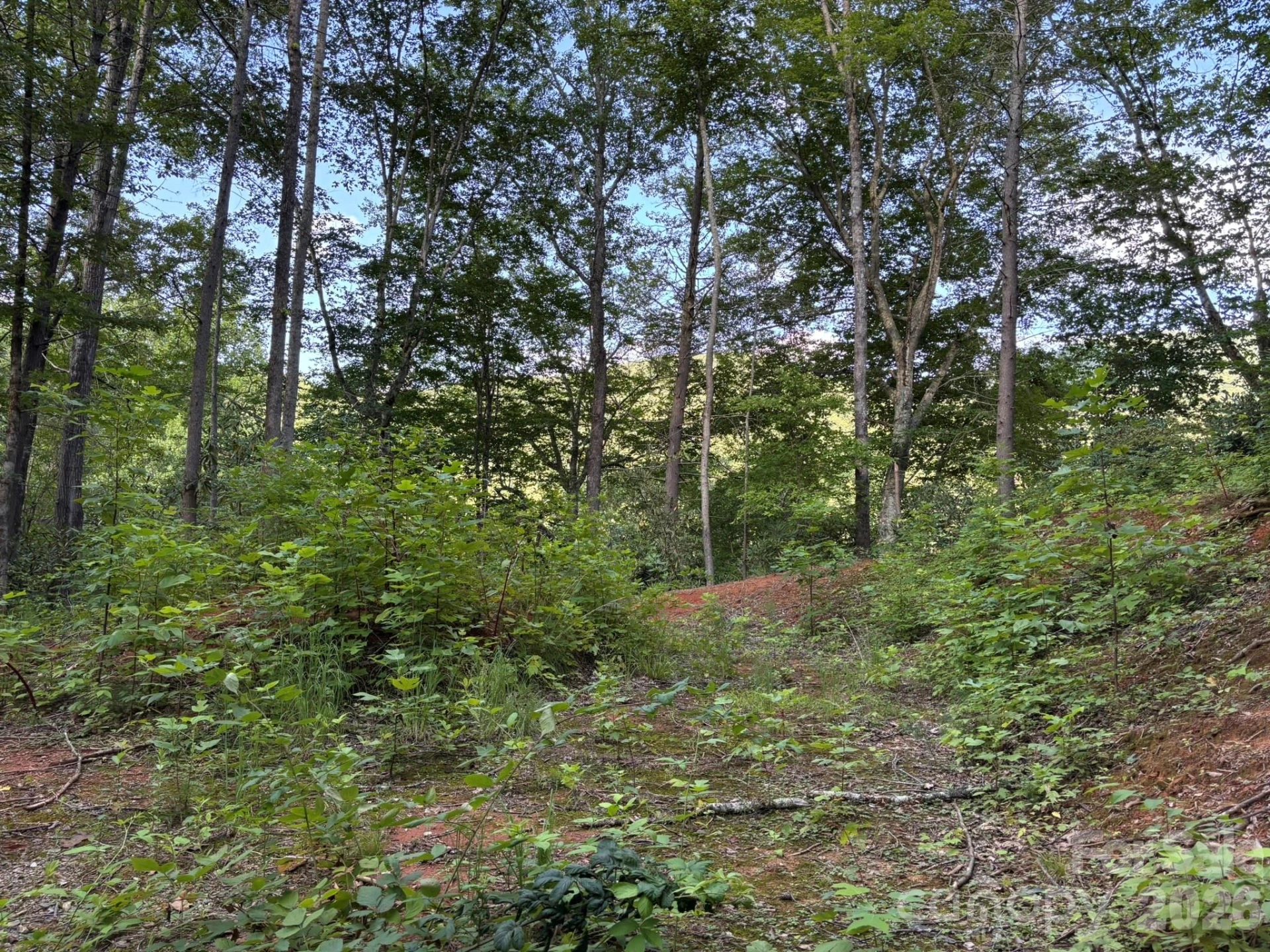 Lot 41 Peace Wood Lane #41 - Photo 2