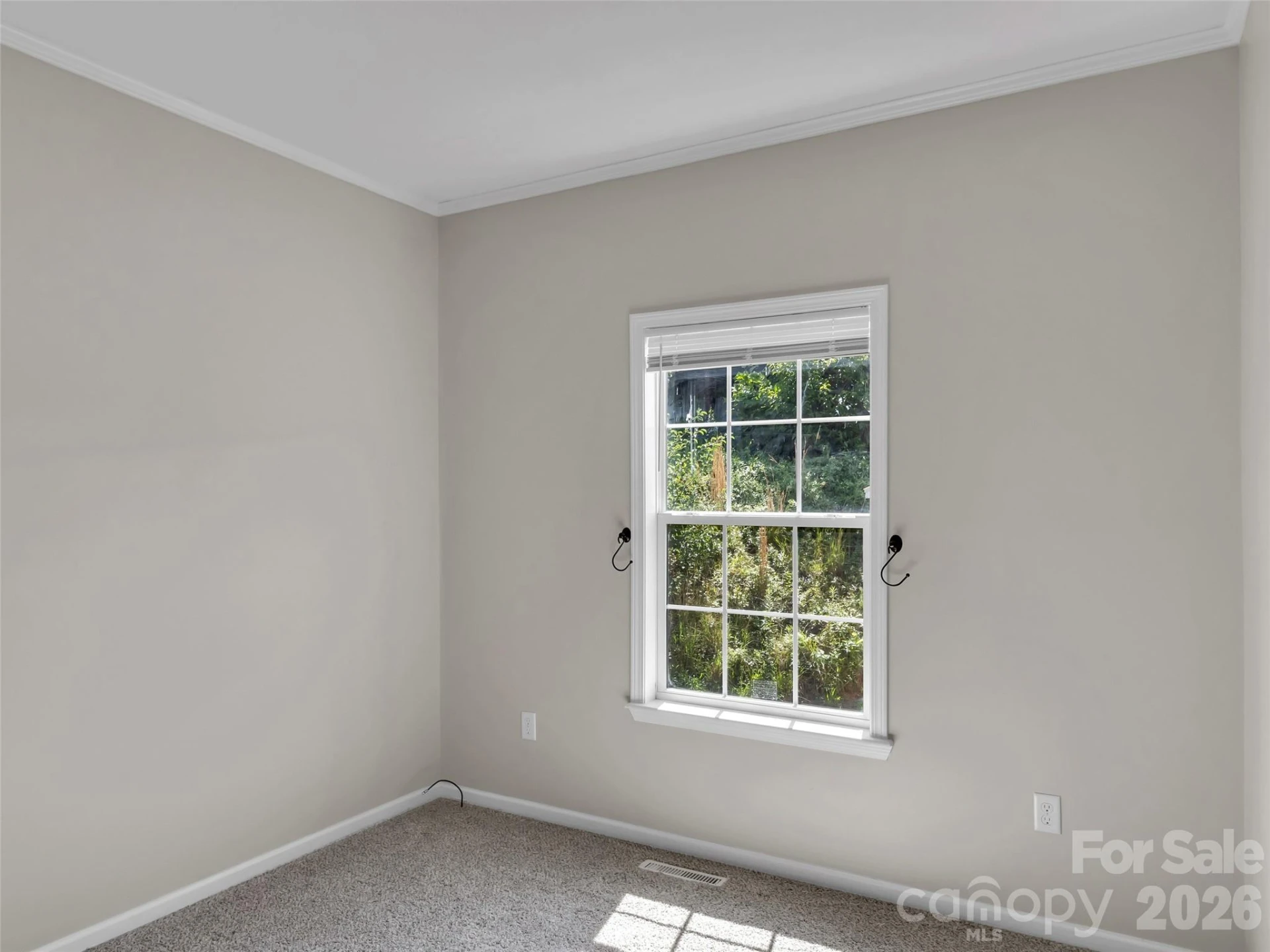 8 Worley Ridge Trail - Photo 20