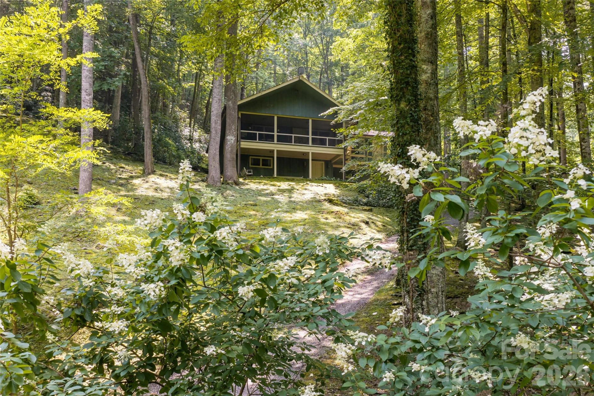 511 Mcclure Creek Road - Photo 3