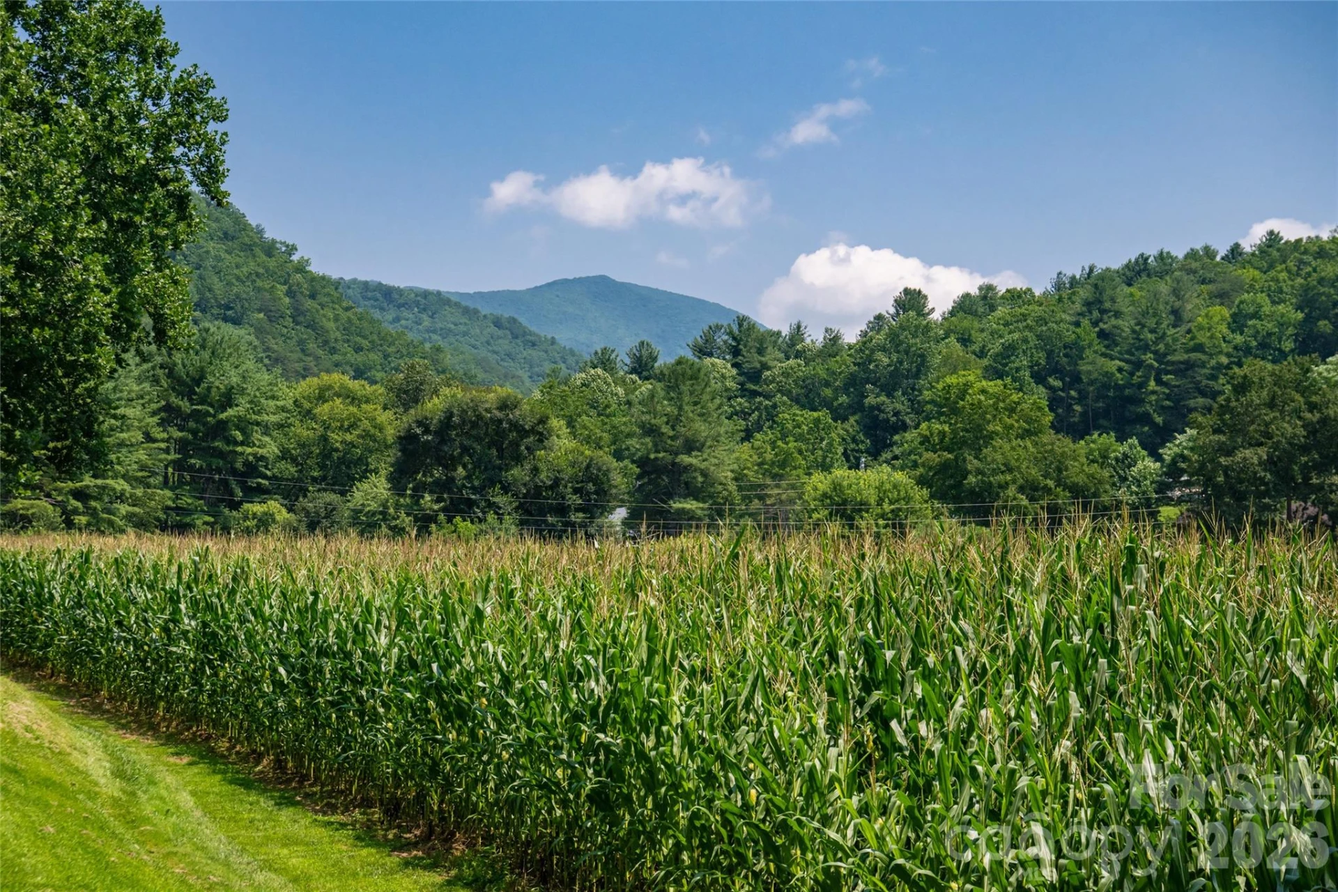 511 Mcclure Creek Road - Photo 26