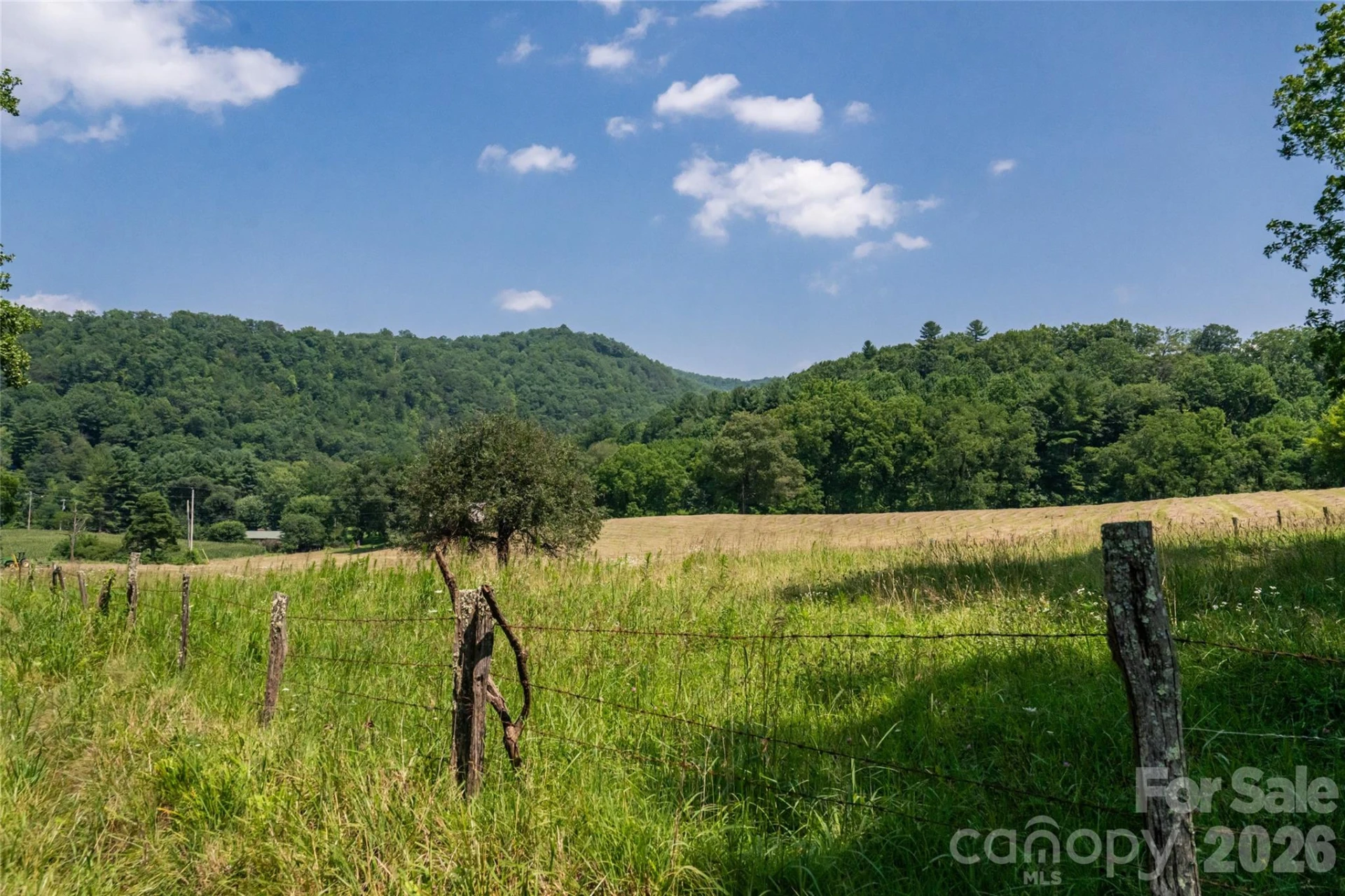 511 Mcclure Creek Road - Photo 31