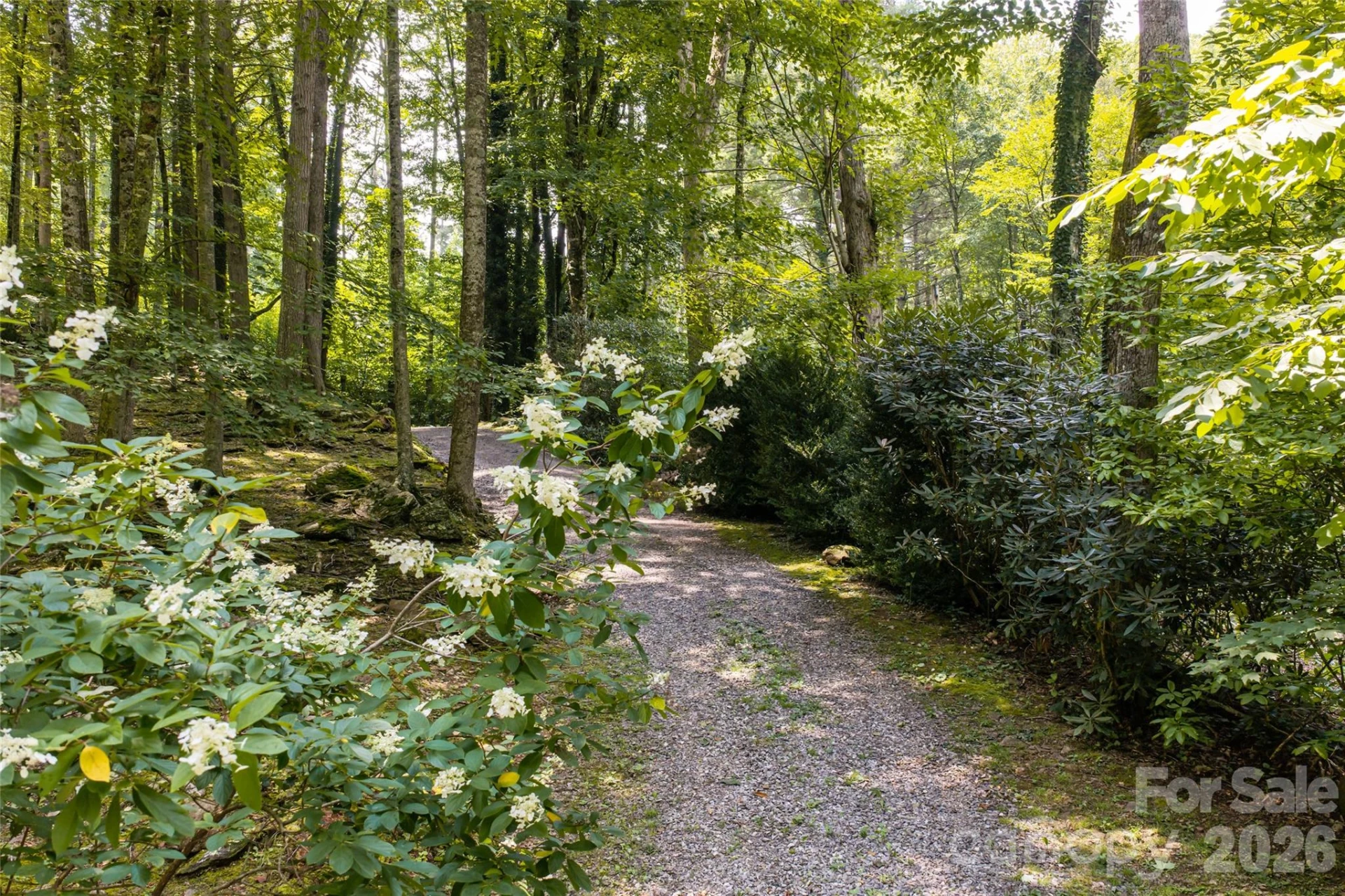 511 Mcclure Creek Road - Photo 34