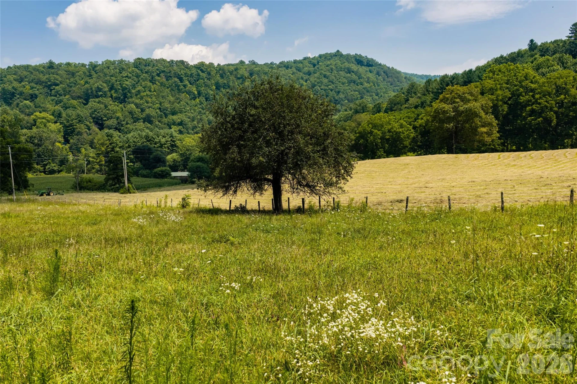511 Mcclure Creek Road - Photo 36