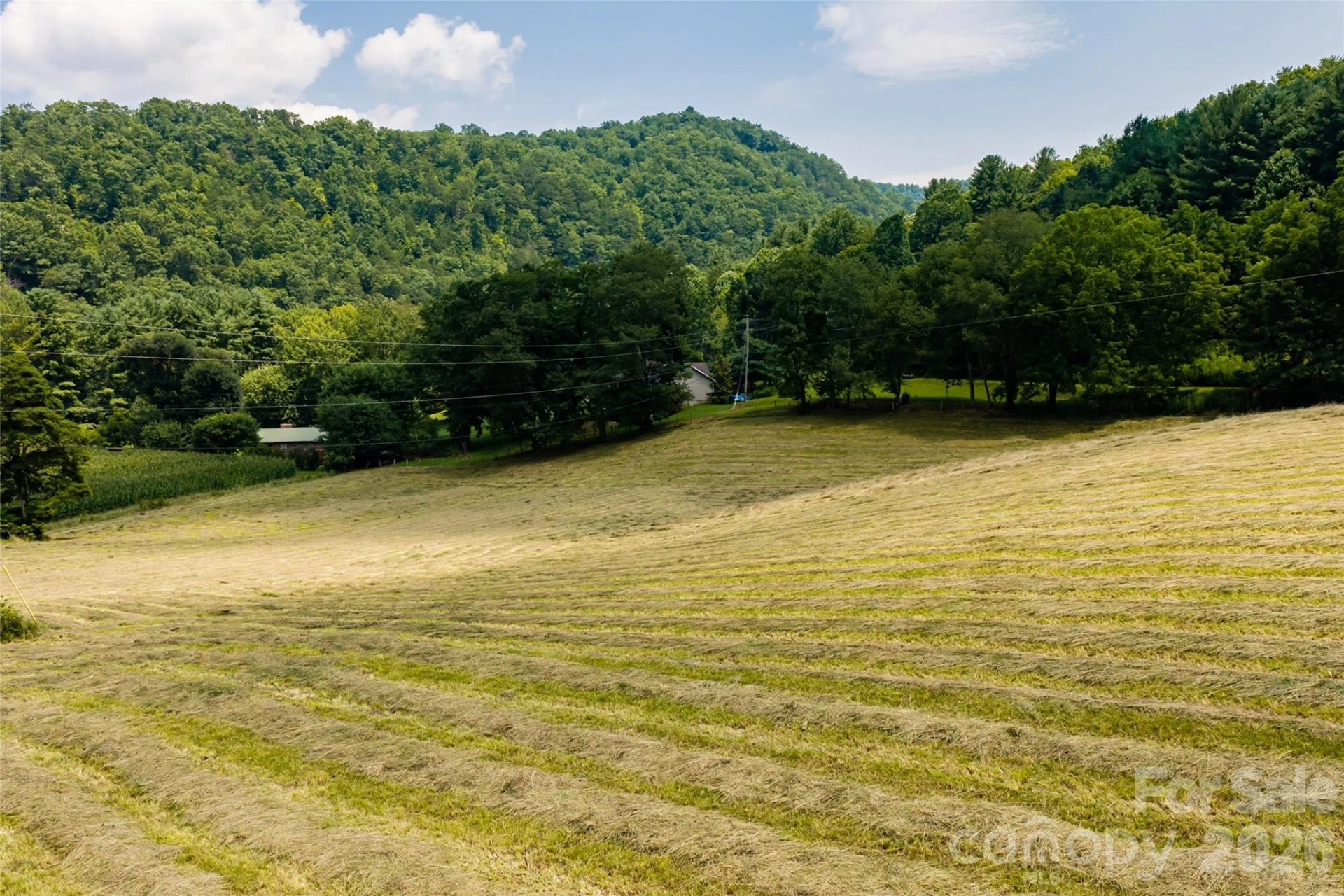 511 Mcclure Creek Road - Photo 37