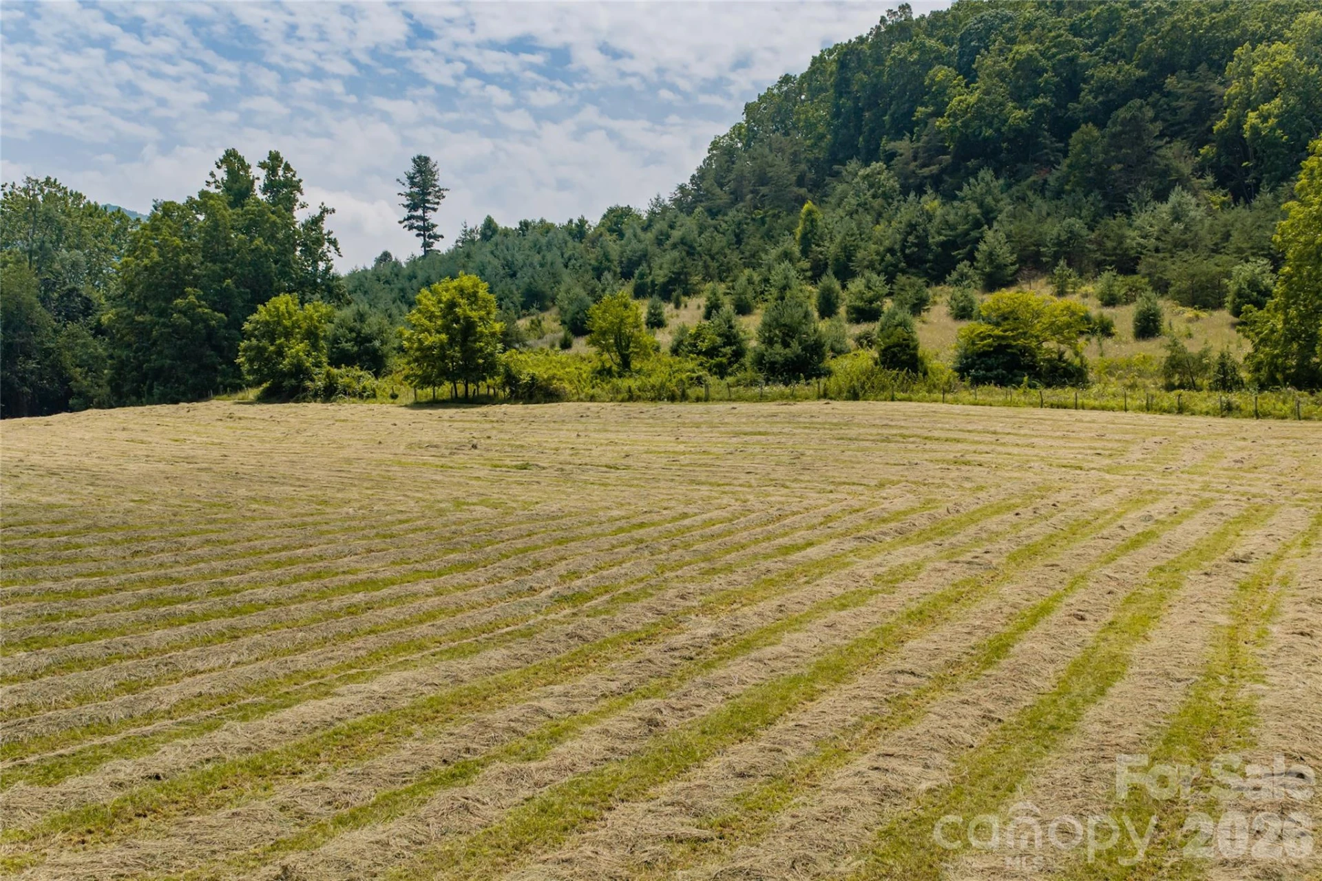 511 Mcclure Creek Road - Photo 38