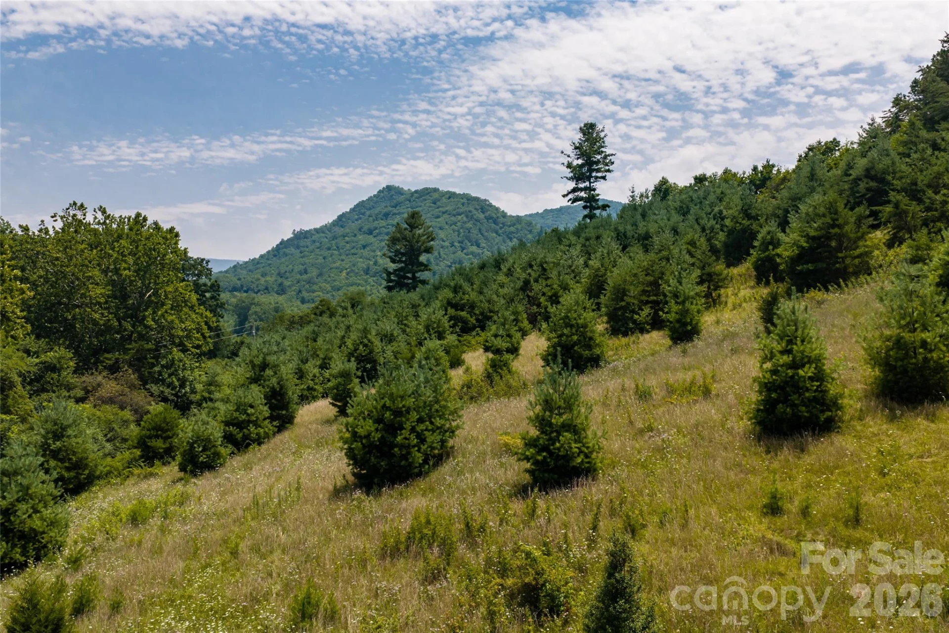 511 Mcclure Creek Road - Photo 39