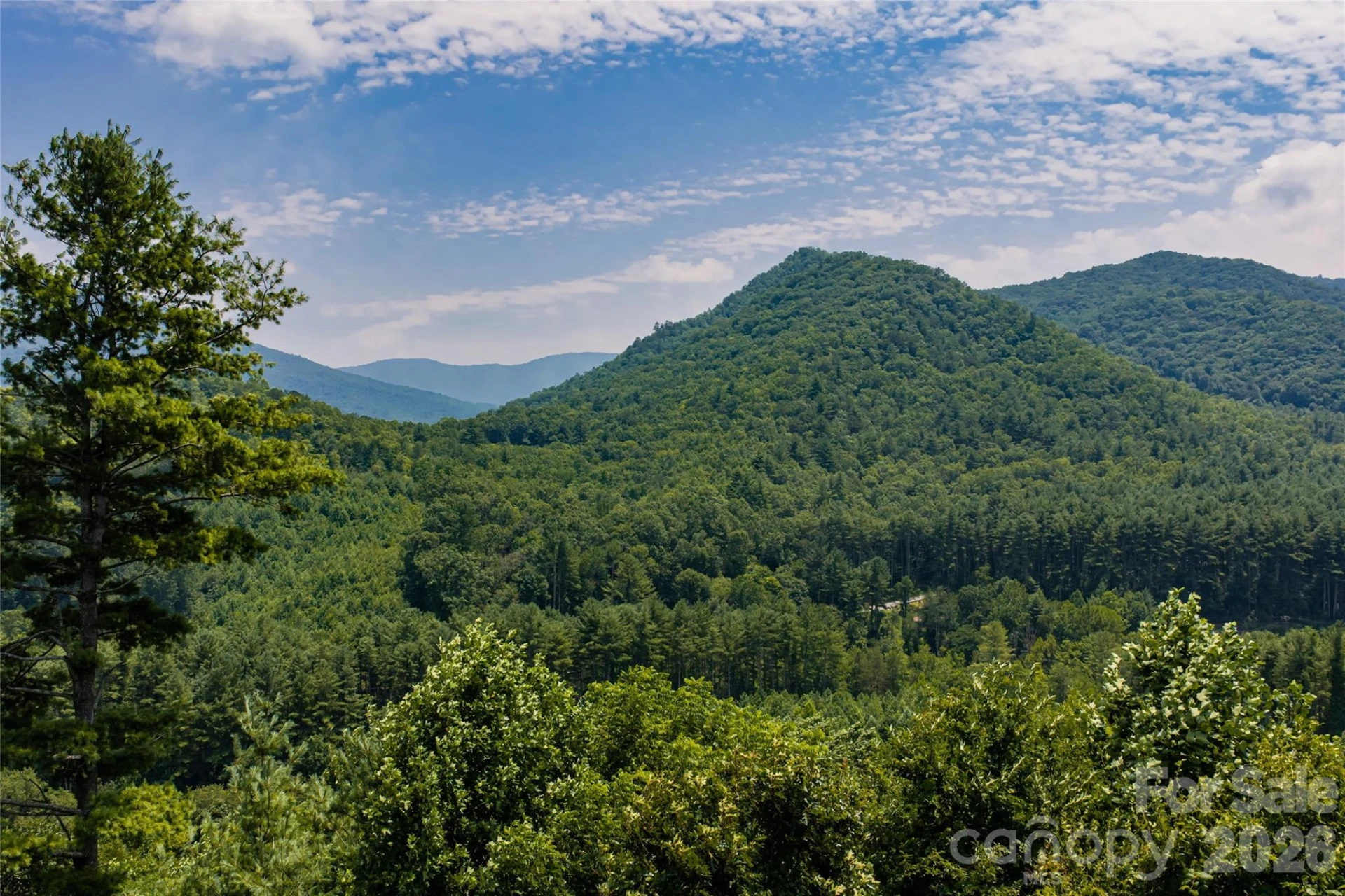 511 Mcclure Creek Road - Photo 42
