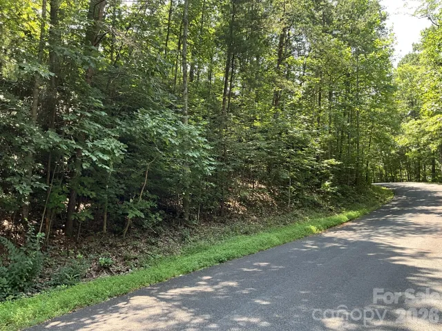 Lot 77 Winesap Boulevard, Lake Lure, NC, 28746