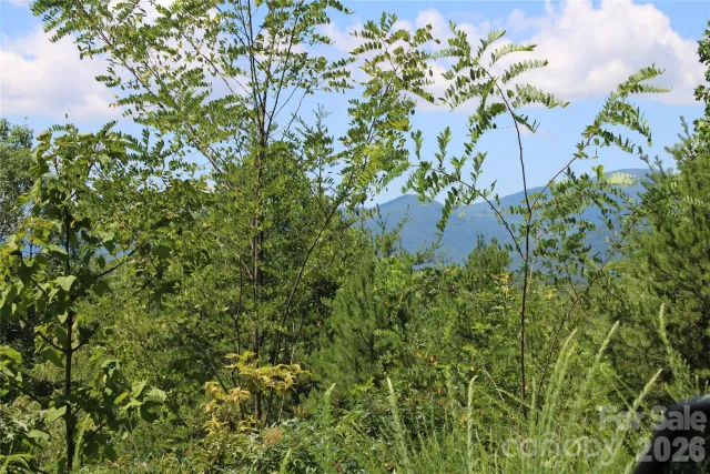 3041 Bills Creek Road, Lake Lure, NC, 28746