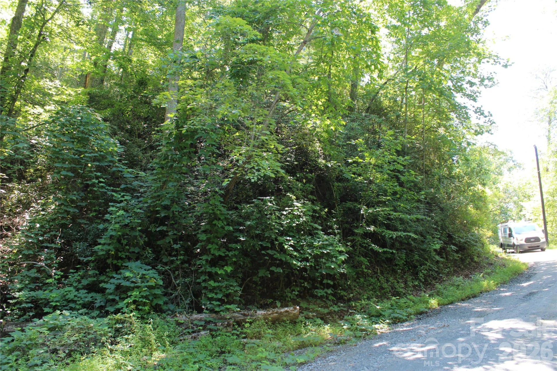 3041 Bills Creek Road - Photo 2