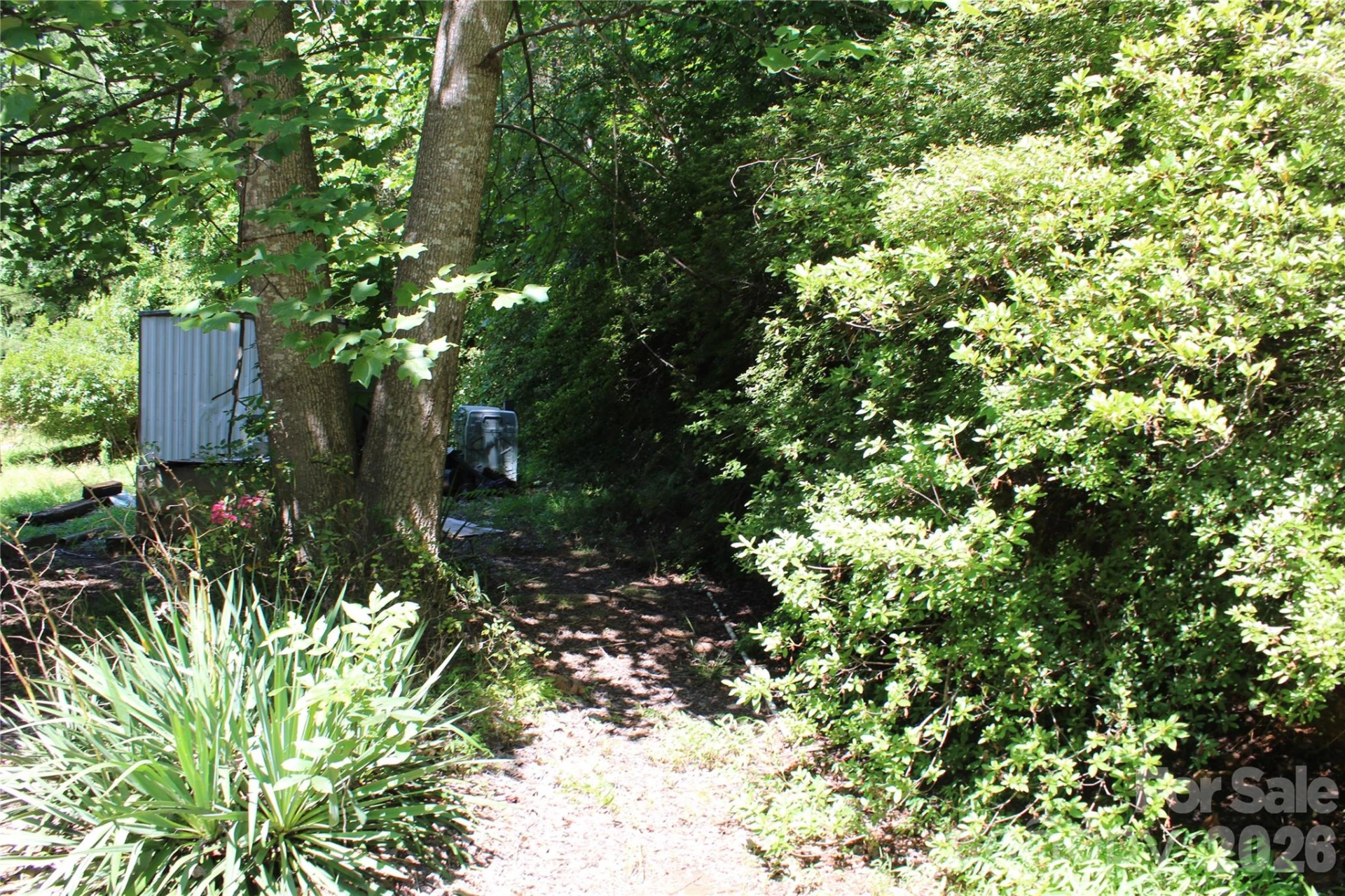 3041 Bills Creek Road - Photo 11