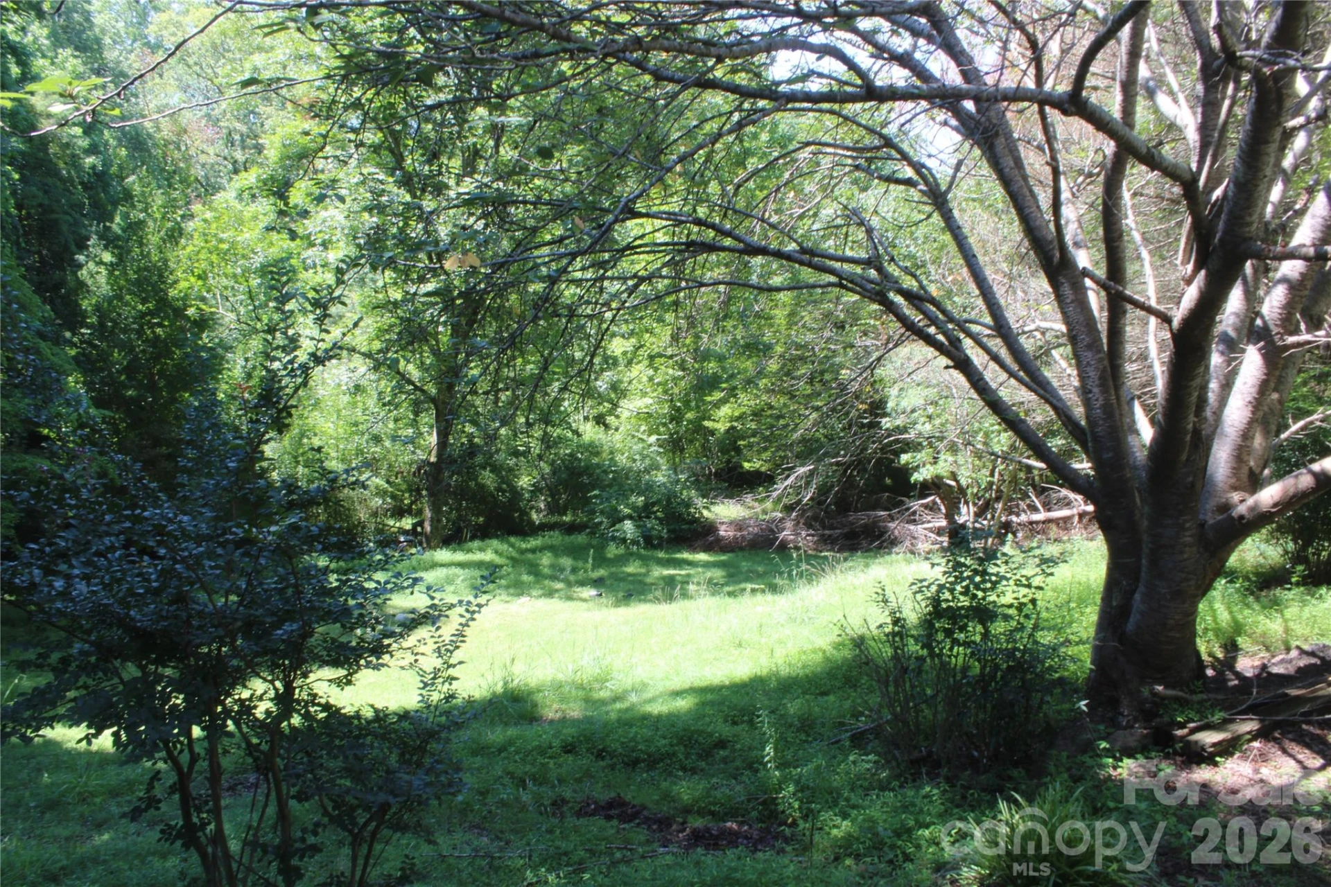 3041 Bills Creek Road - Photo 13
