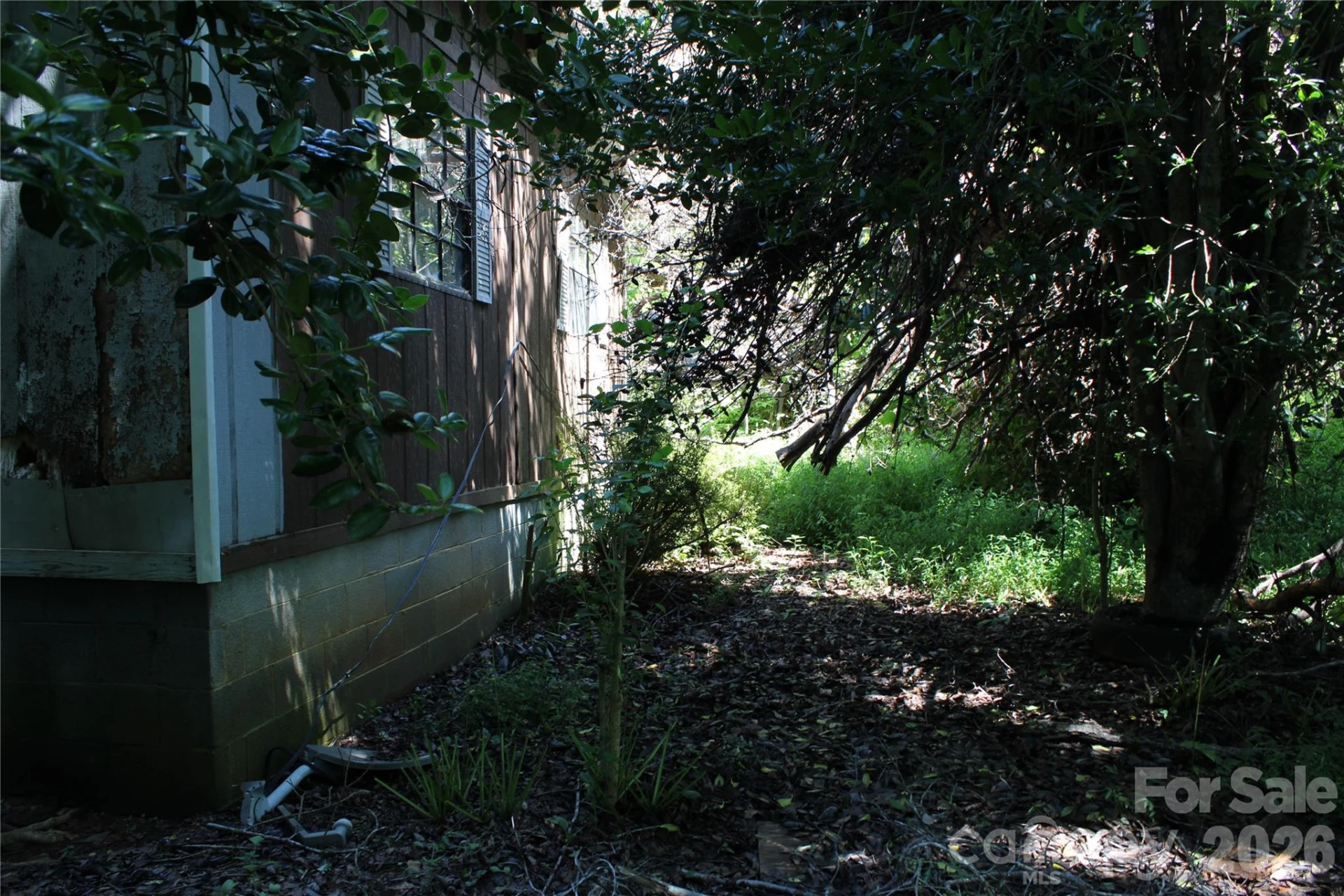 3041 Bills Creek Road - Photo 16