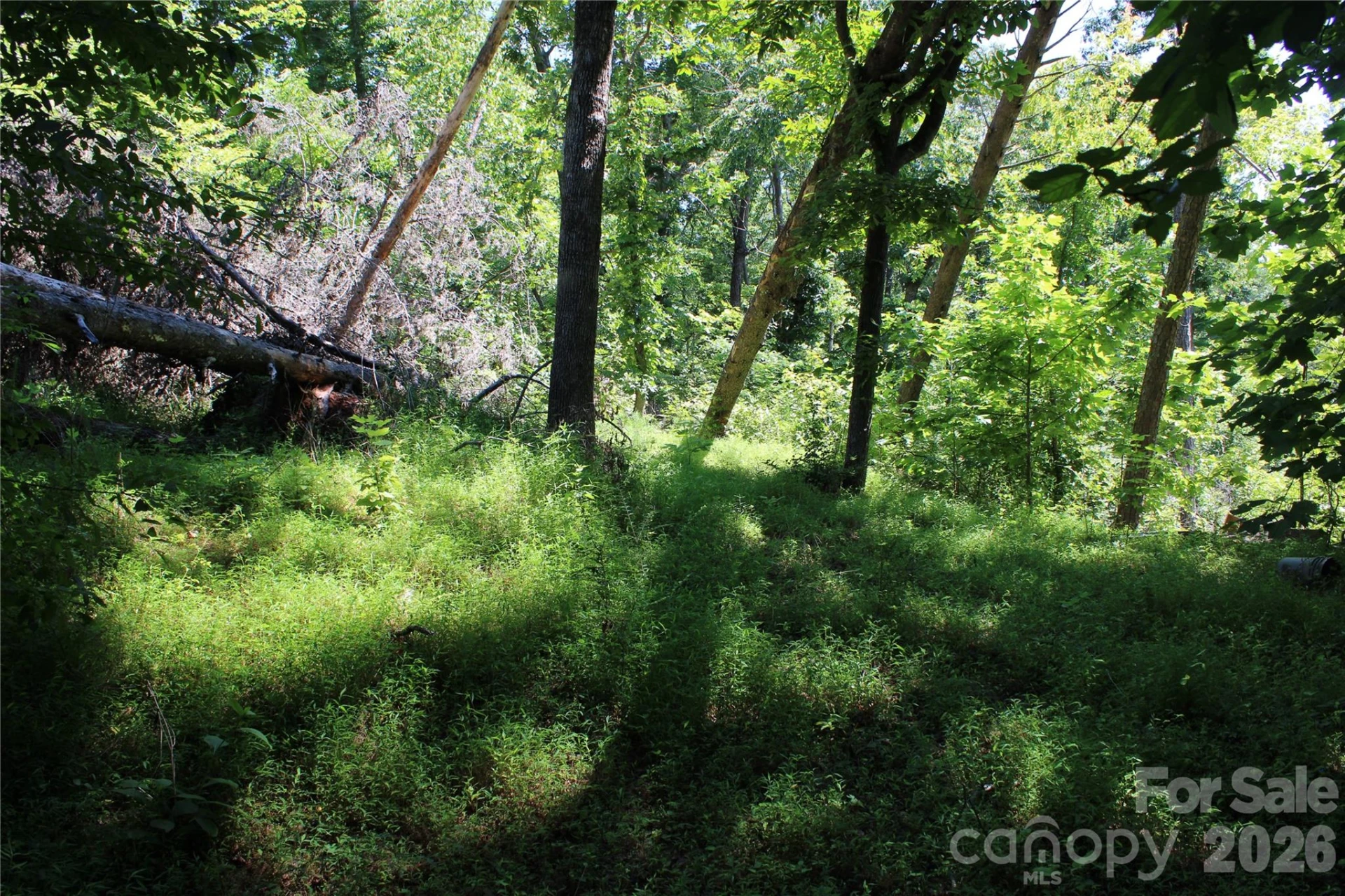 3041 Bills Creek Road - Photo 17