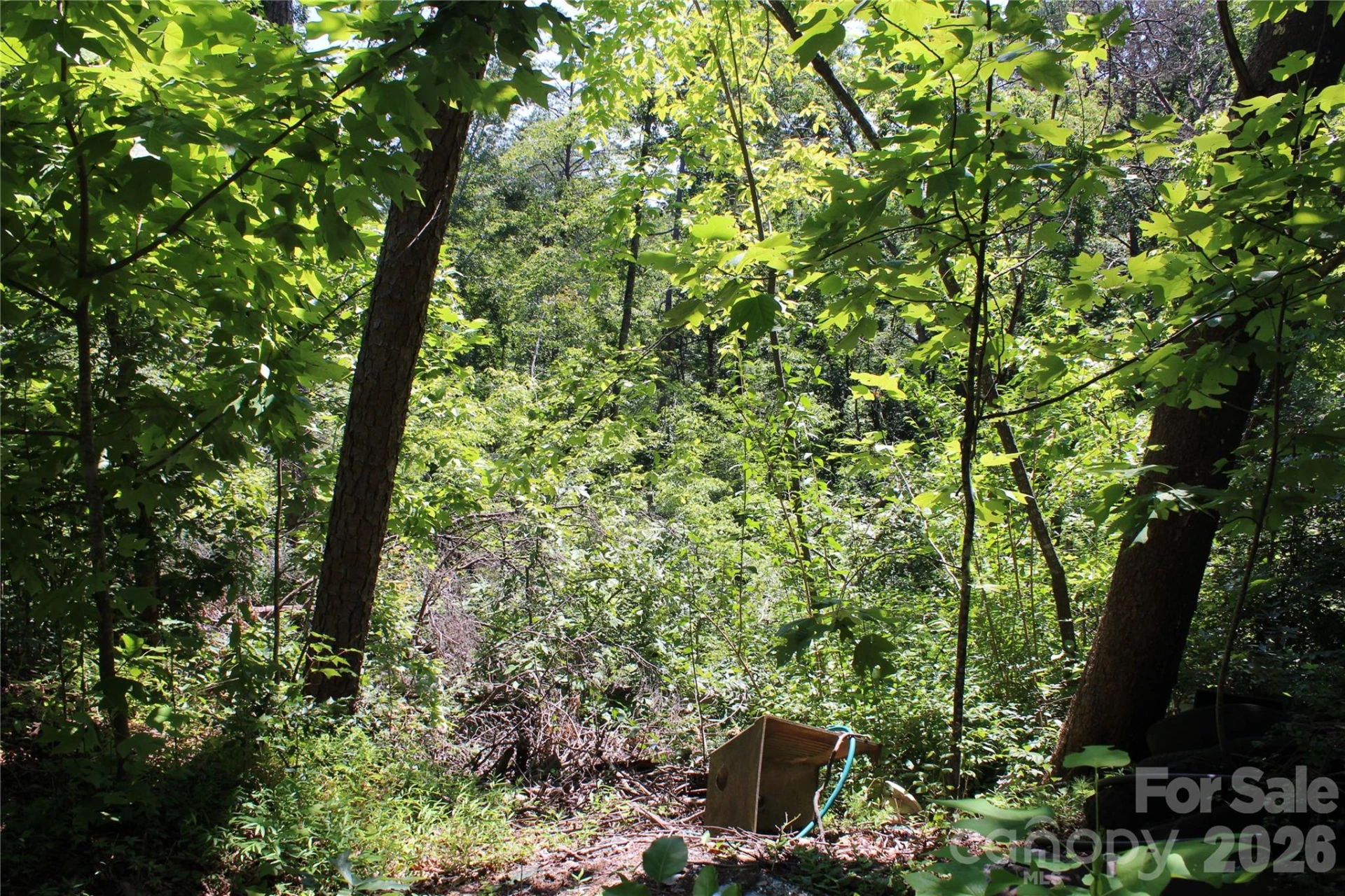 3041 Bills Creek Road - Photo 19