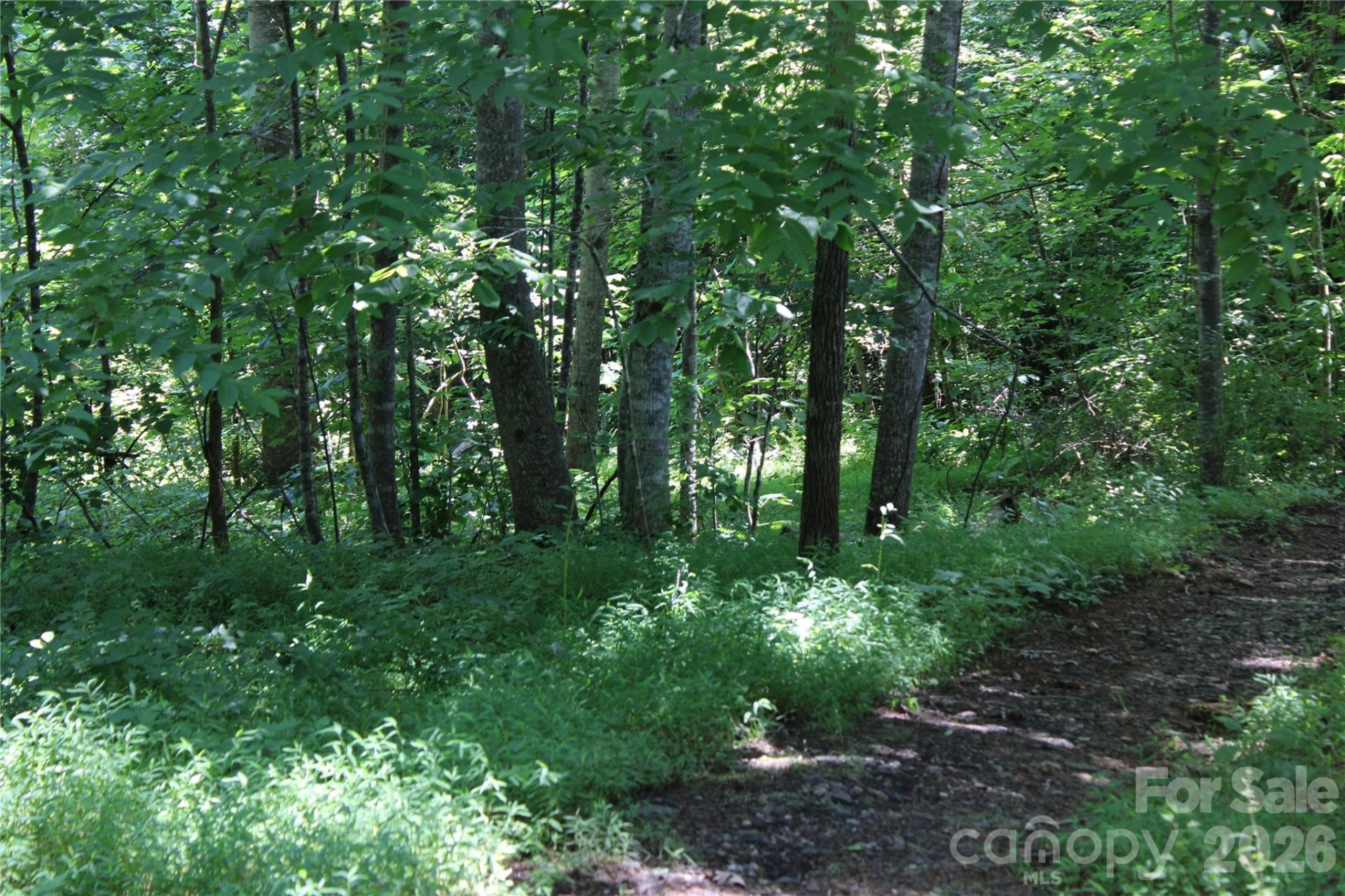 3041 Bills Creek Road - Photo 27
