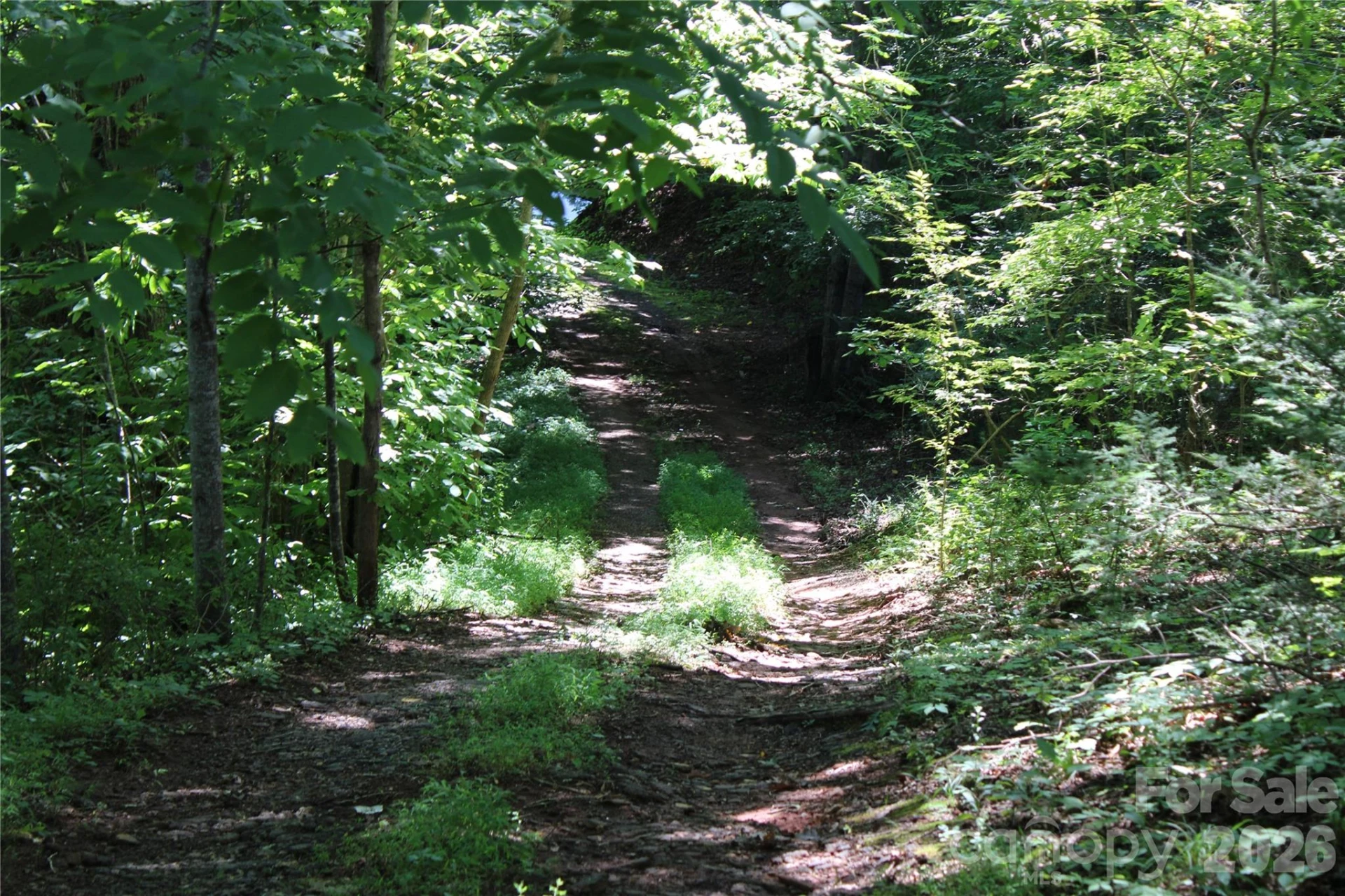 3041 Bills Creek Road - Photo 28