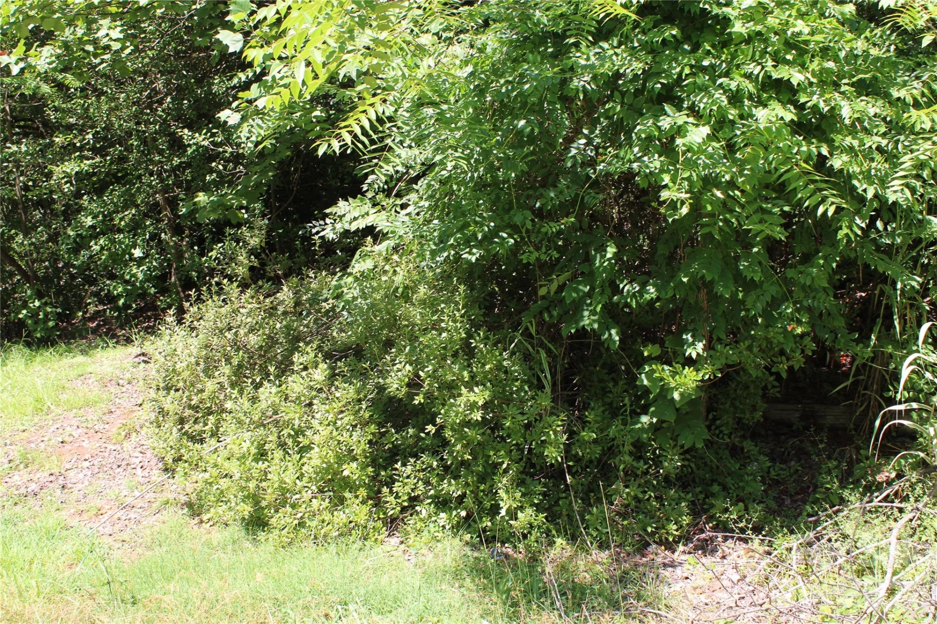 3041 Bills Creek Road - Photo 5