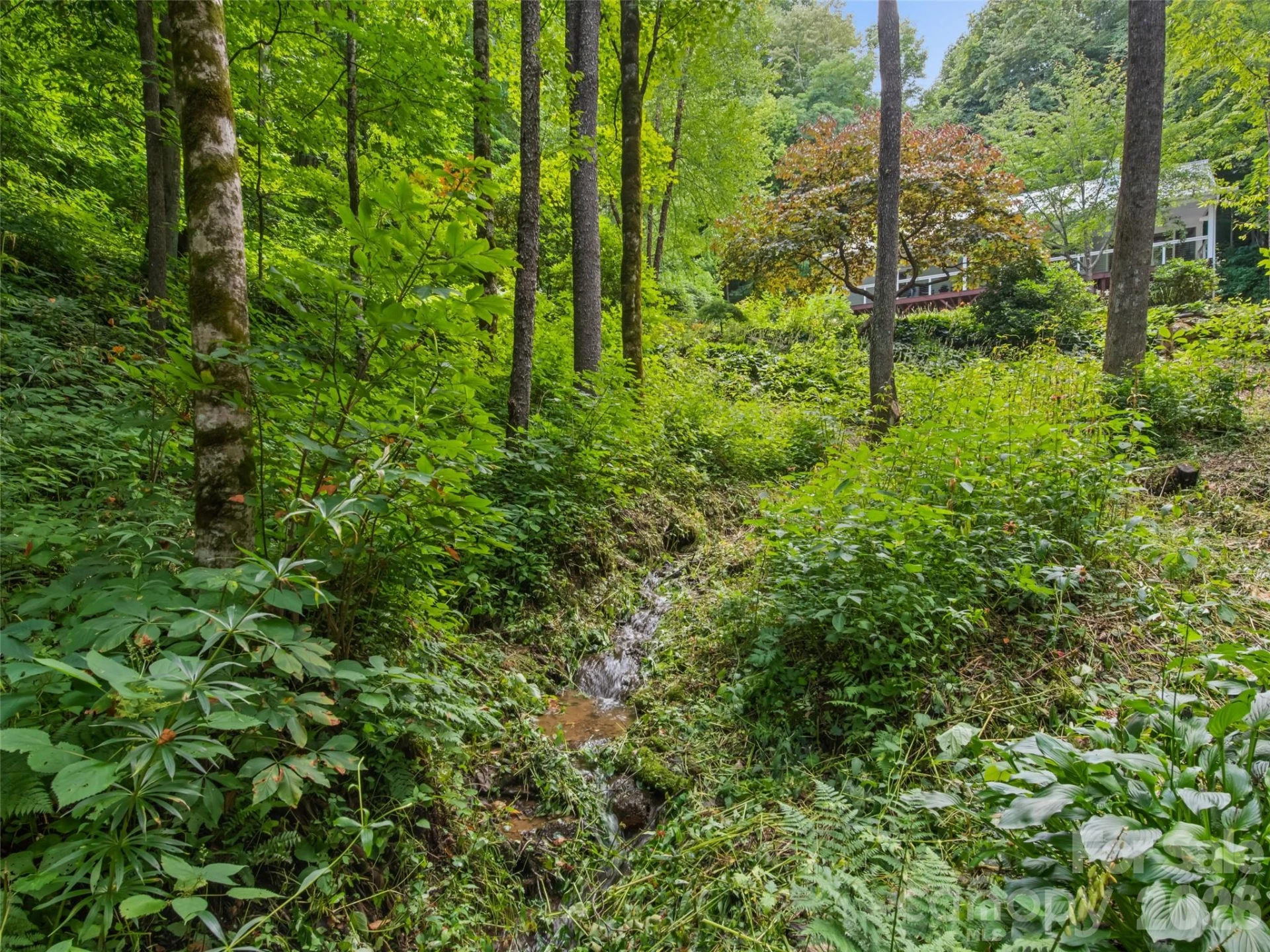 283 The High Road - Photo 39