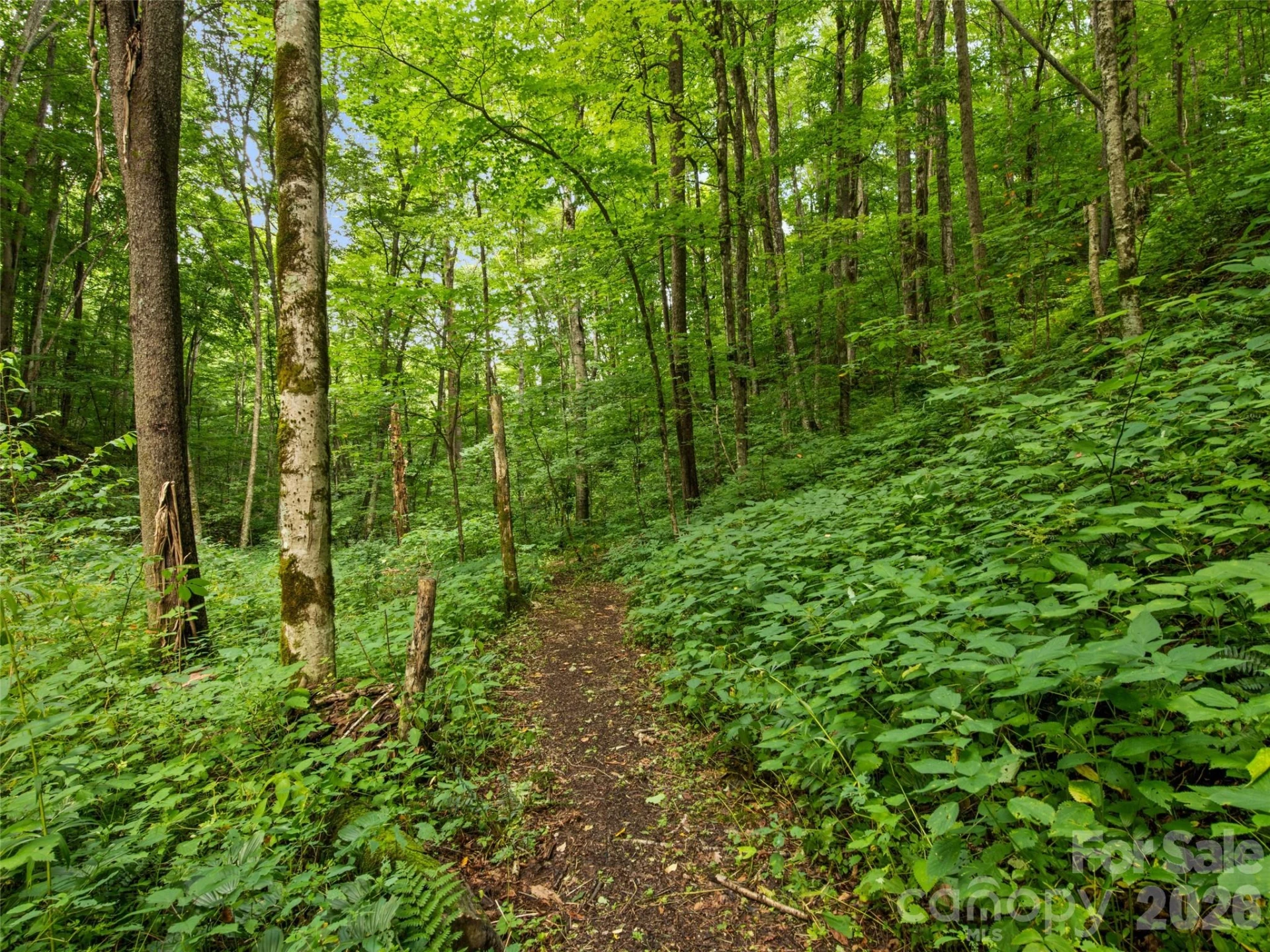 283 The High Road - Photo 40