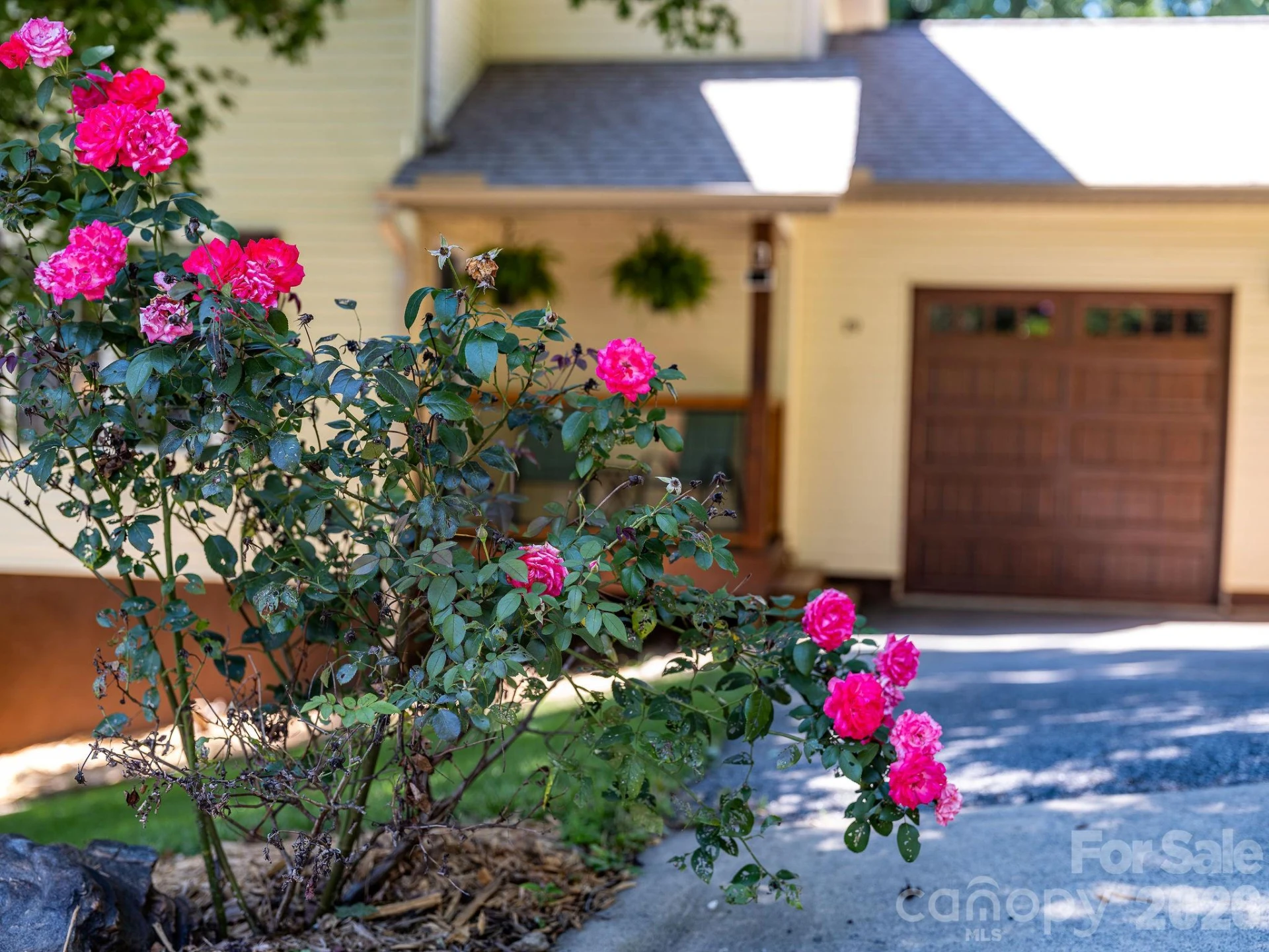 19 Oakcrest Place - Photo 2