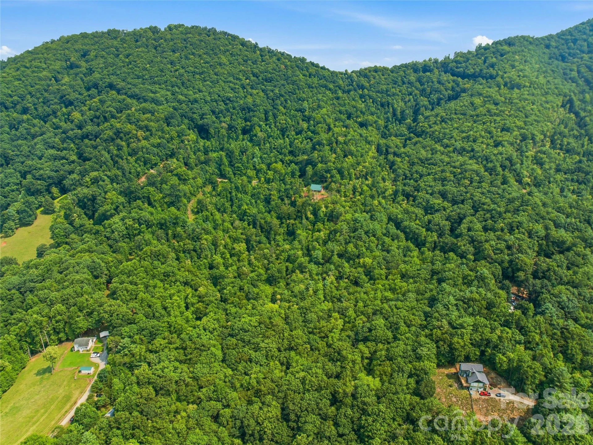 226 High Top Mountain Road - Photo 34
