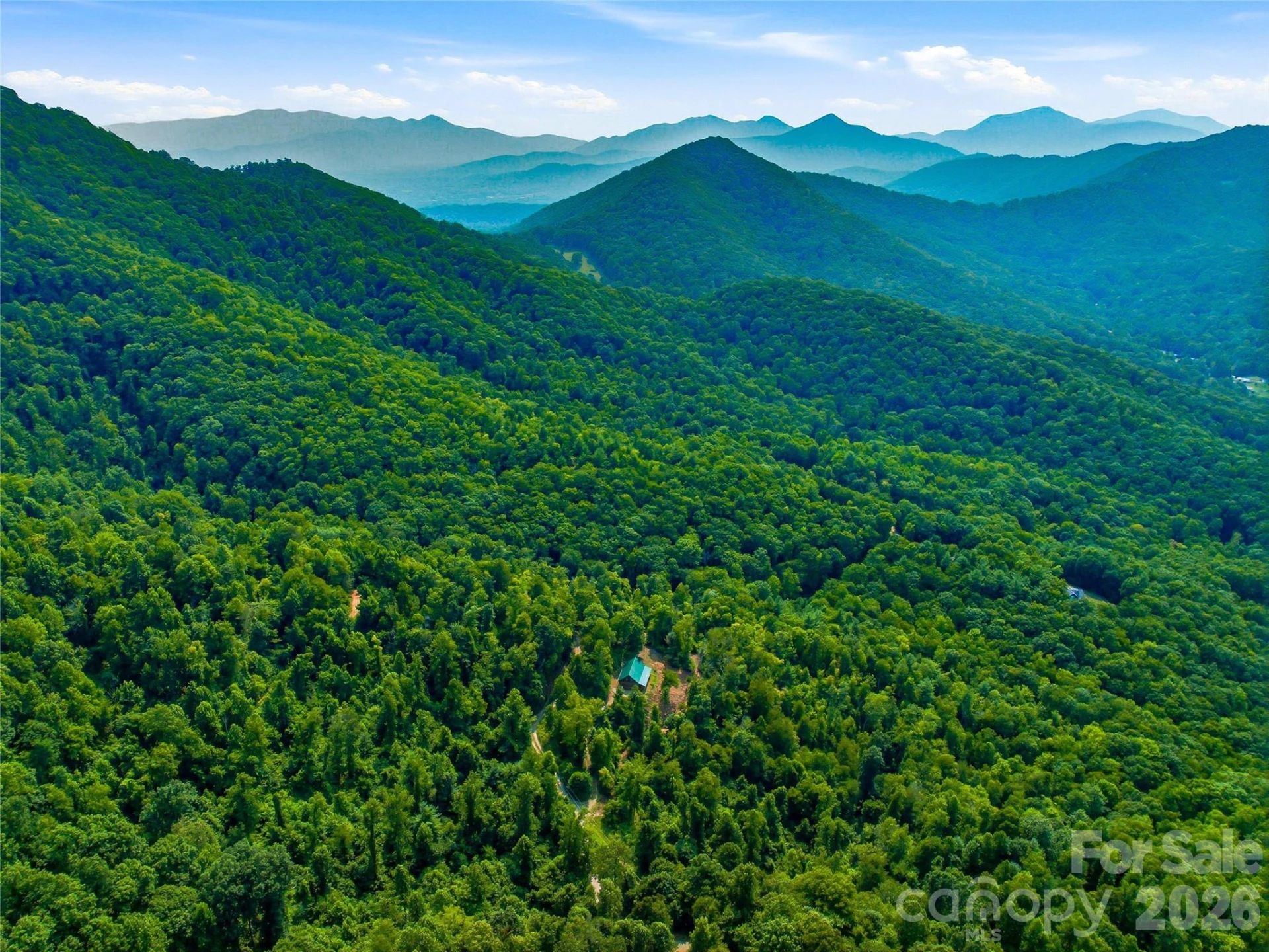 226 High Top Mountain Road - Photo 41