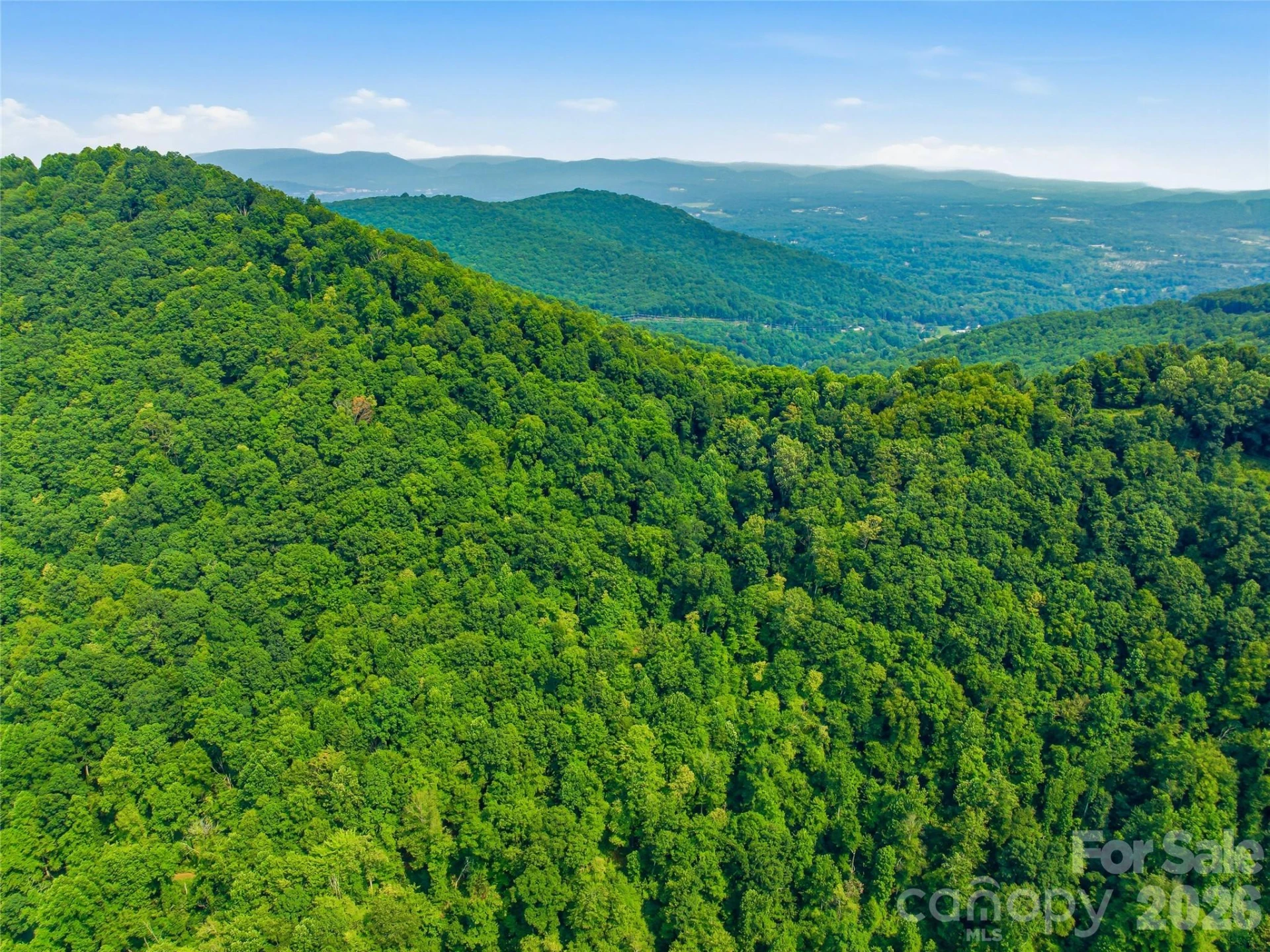 226 High Top Mountain Road - Photo 42