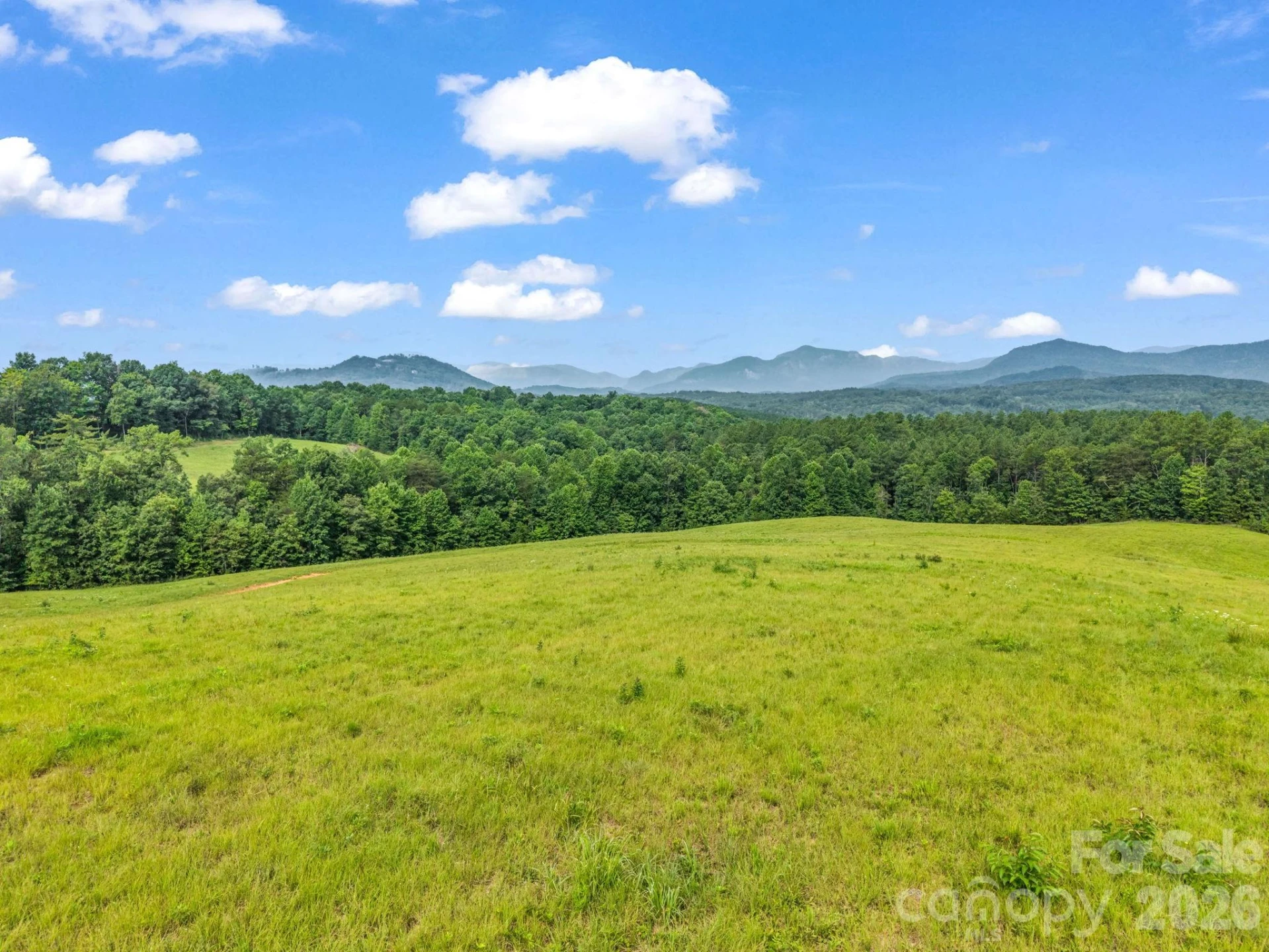 1054 Rainbow Rapids Road - Photo 3