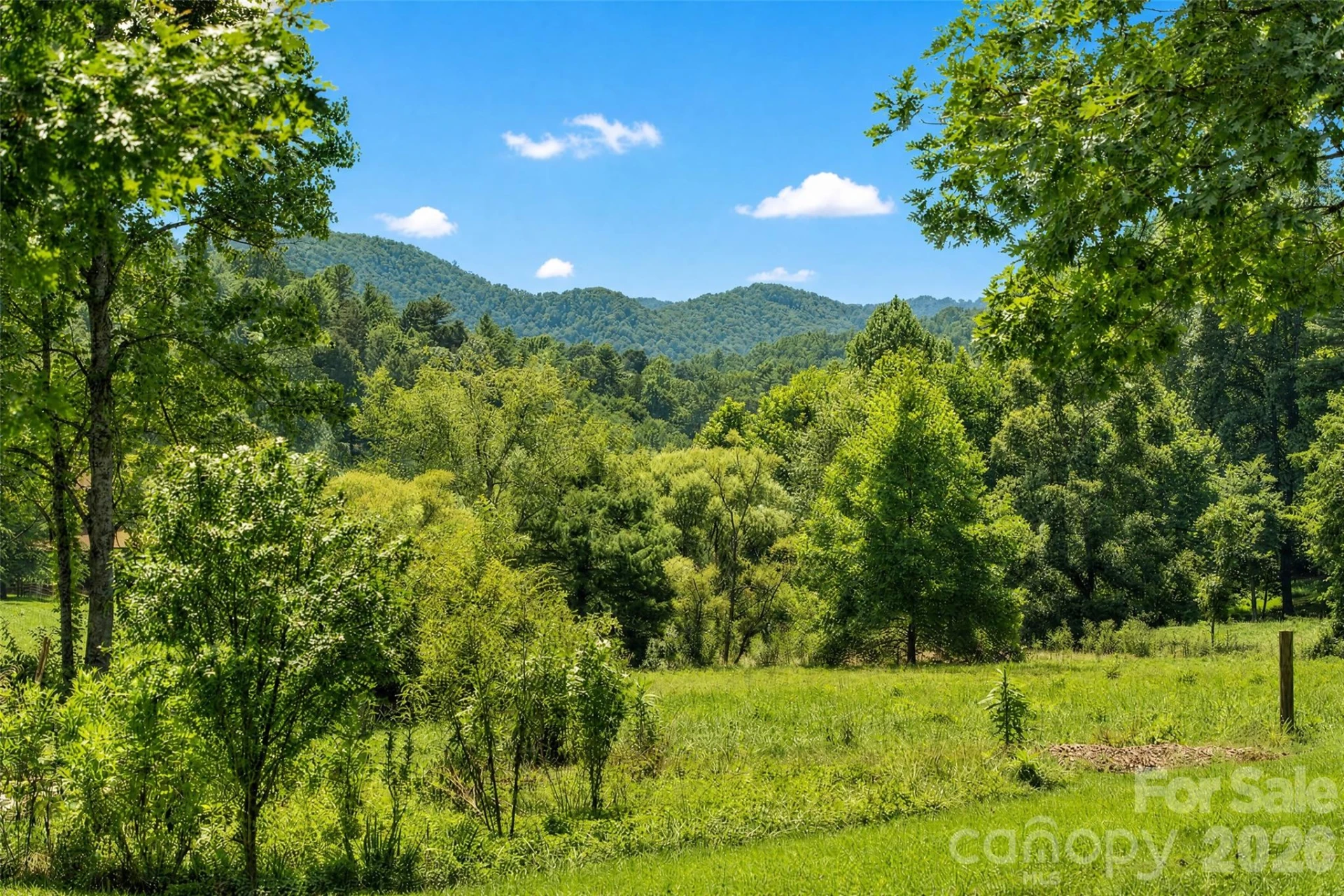 789 Morrow Branch Road - Photo 5