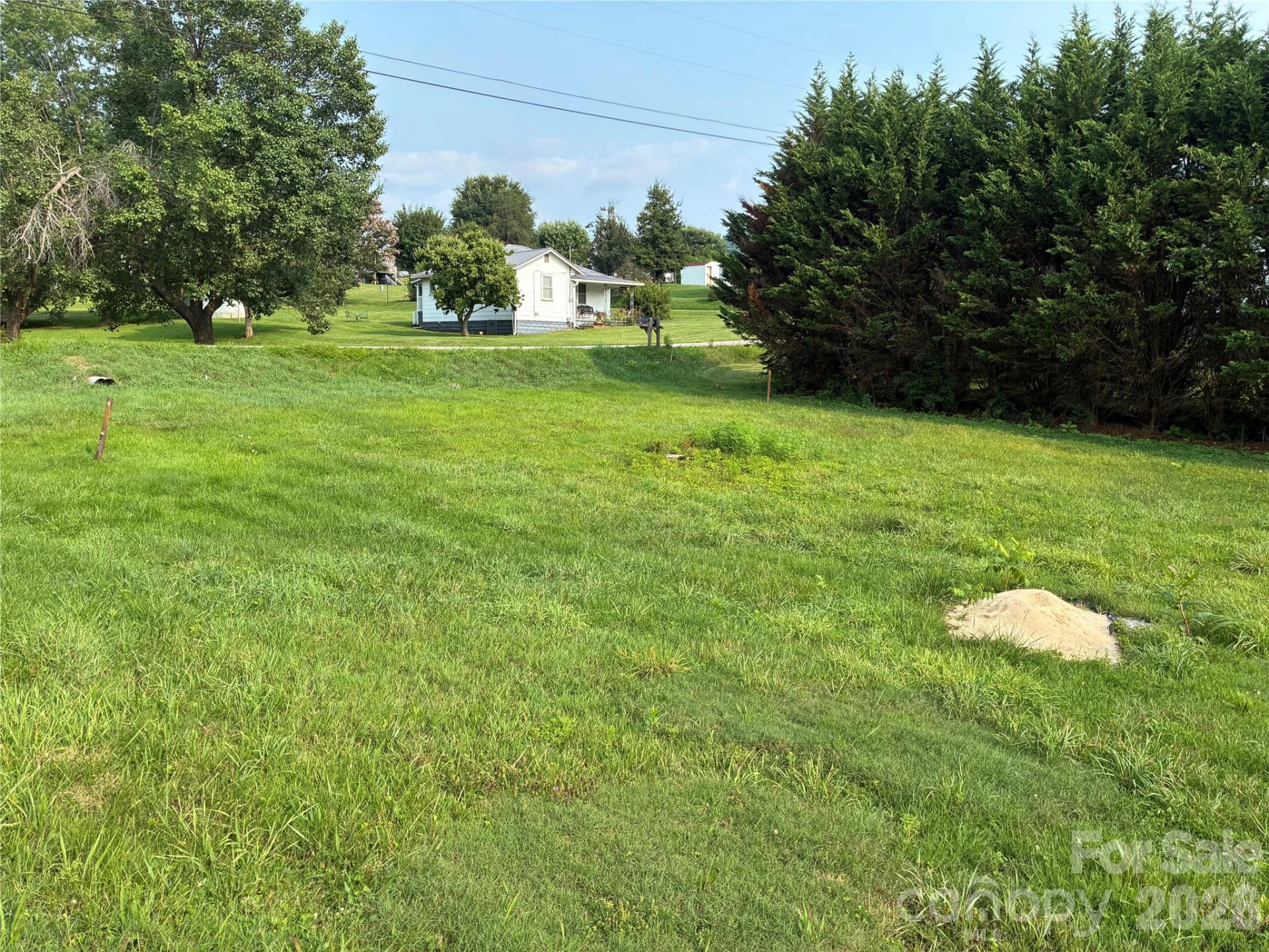 145 Morgan Street #4 - Photo 2
