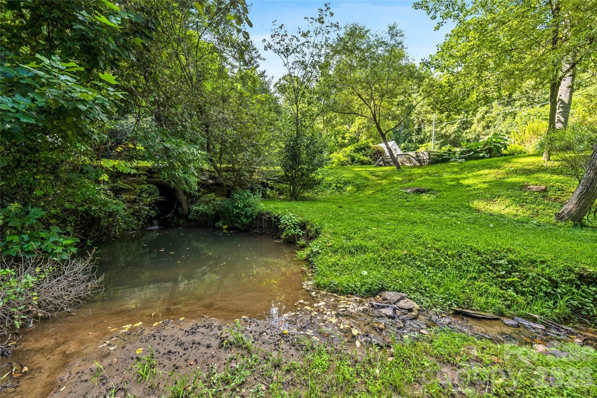 820 Merrills Cove Road - Photo 4