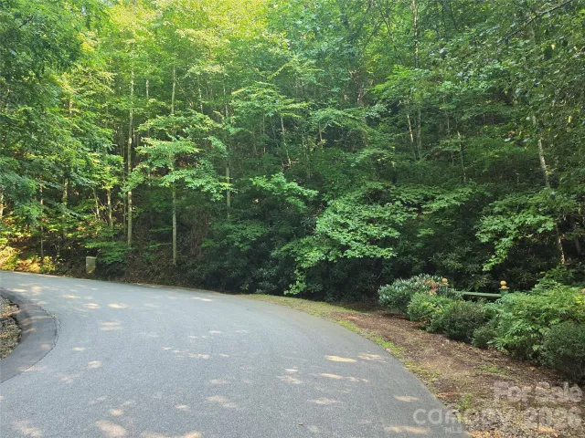 TBD Henry Dingus Way, Maggie Valley, NC, 28751