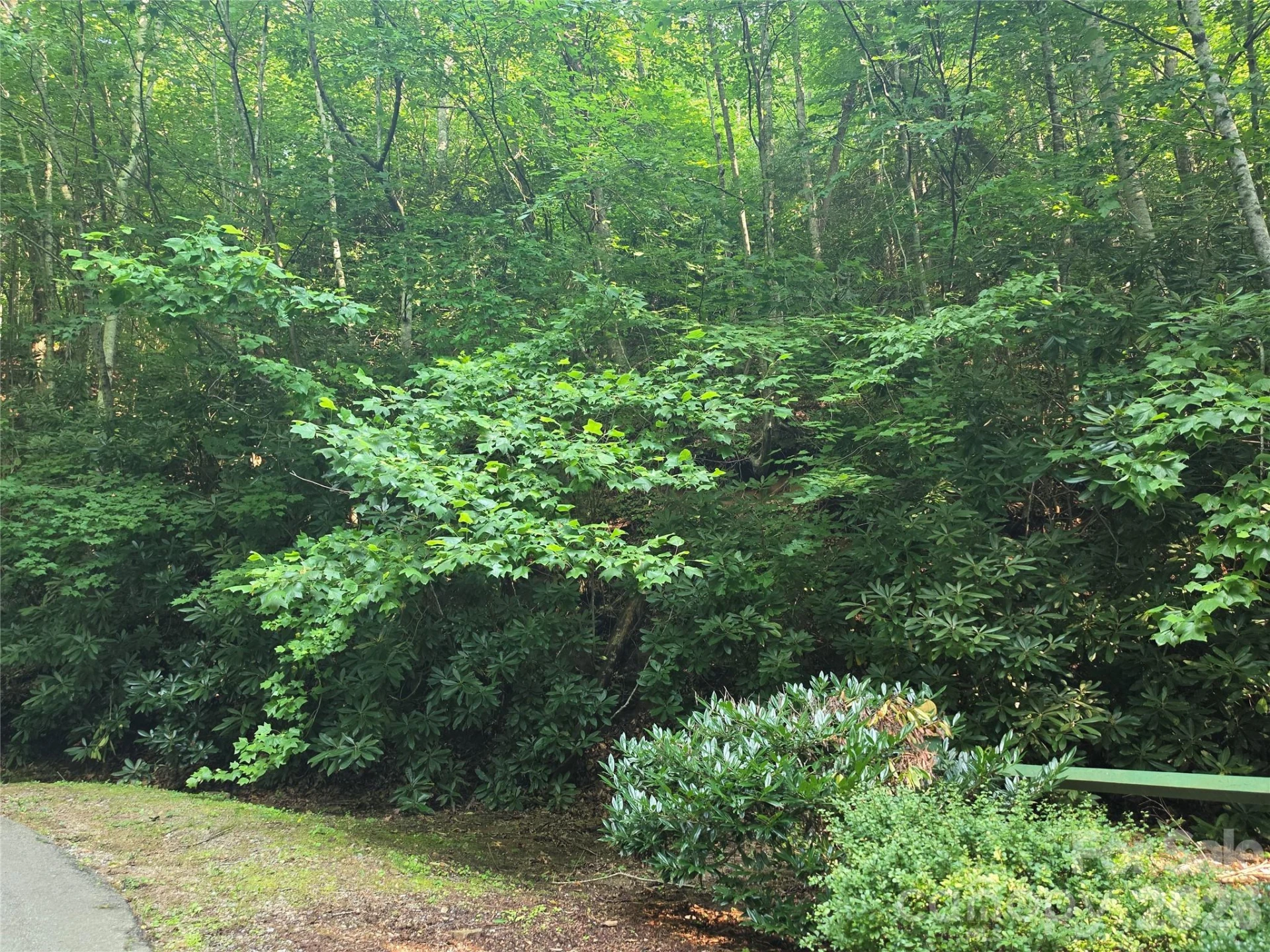 TBD Henry Dingus Way #26 - Photo 2