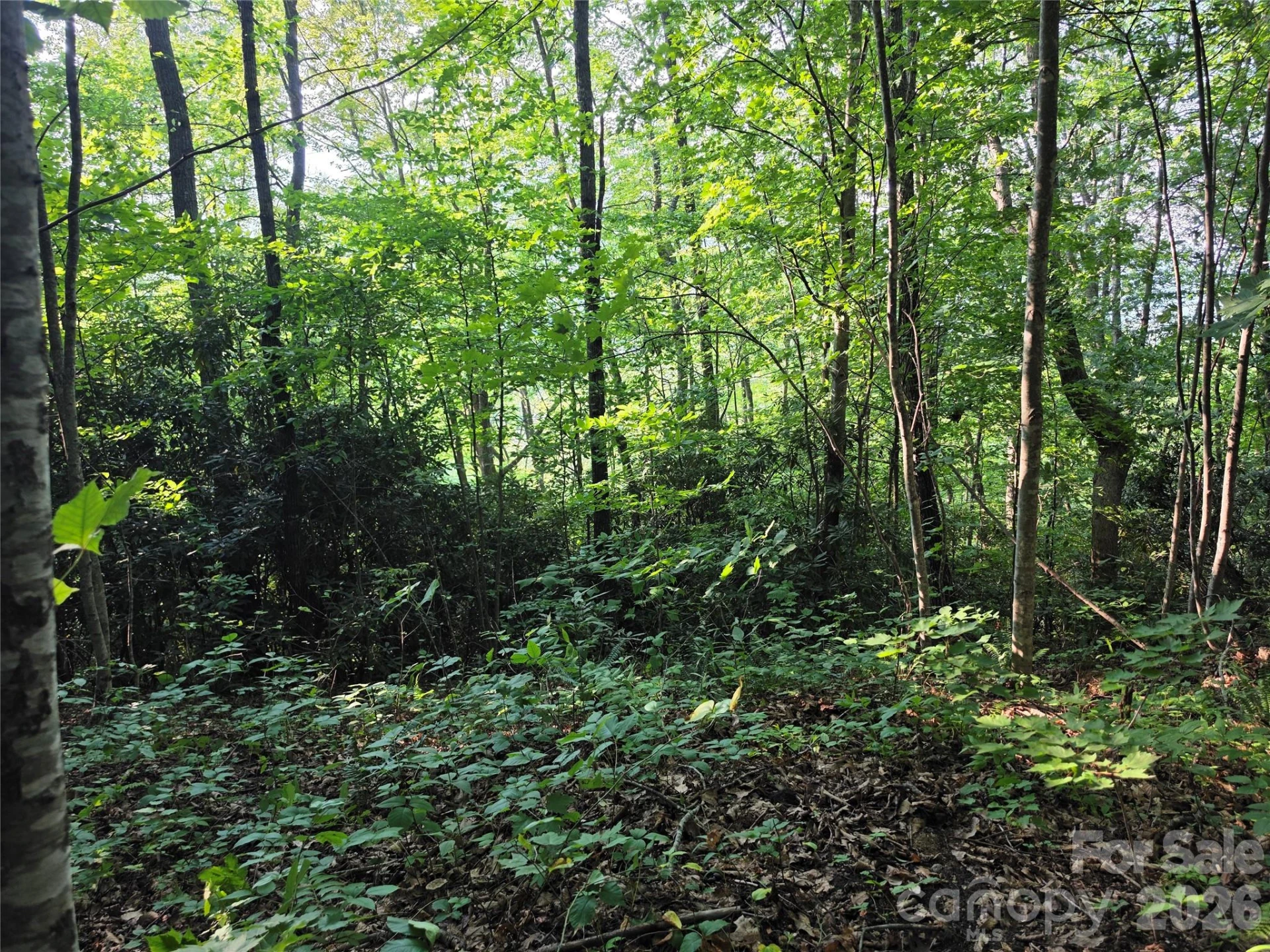 TBD Henry Dingus Way #26 - Photo 4
