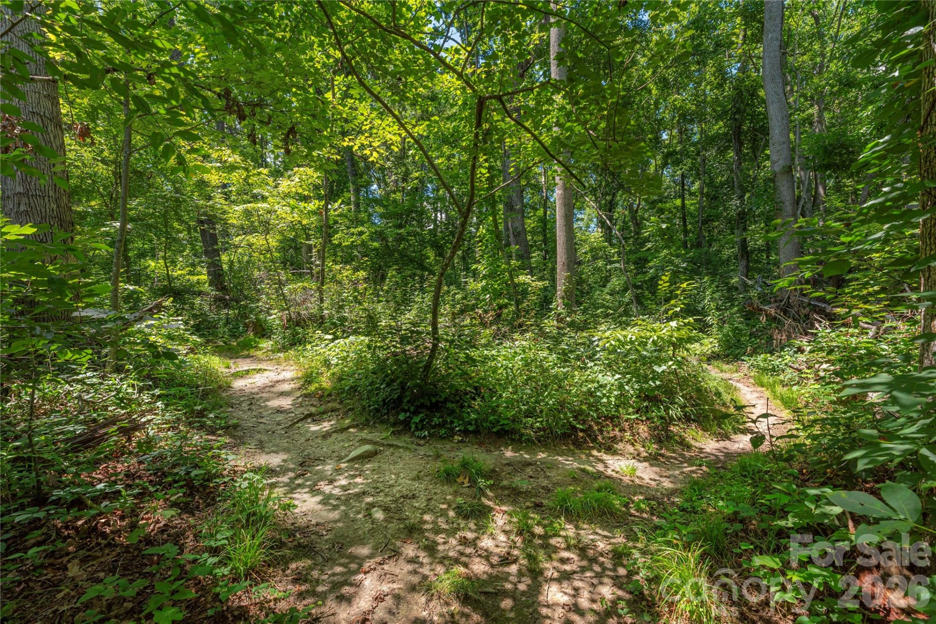 38 Forest View Drive - Photo 27