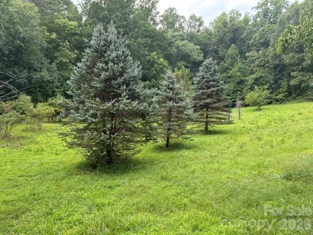 1526 Bills Creek Road - Photo 7