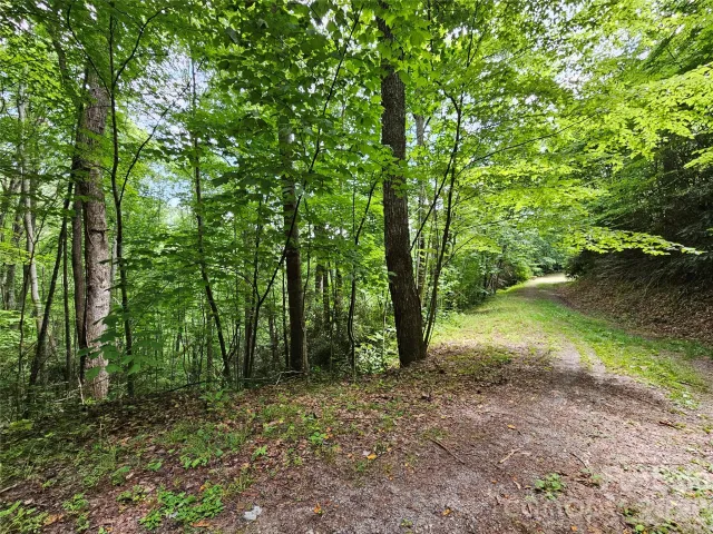 00 Autumn Drive, Waynesville, NC, 28785