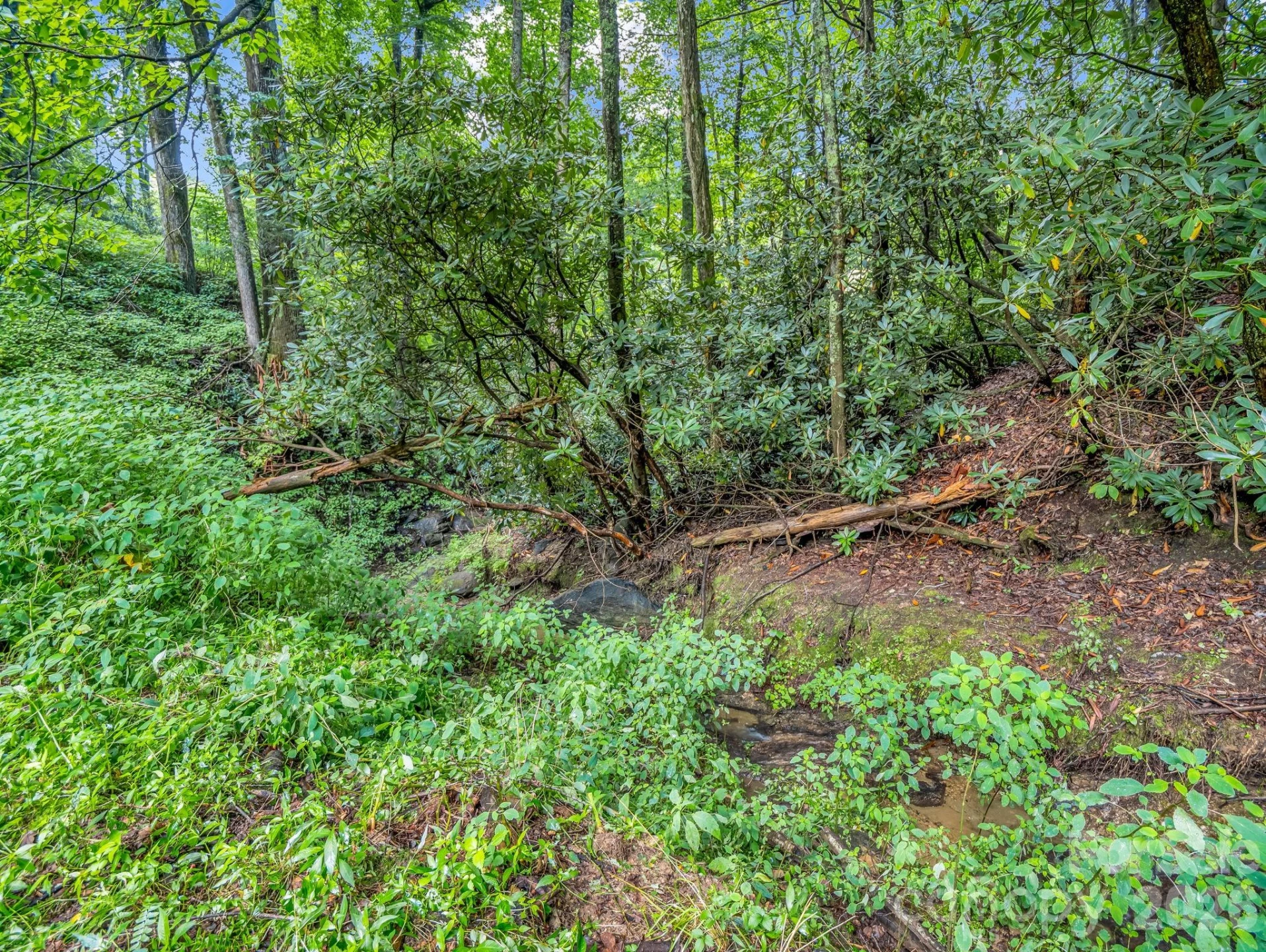 60 Owenby Cove Road - Photo 34