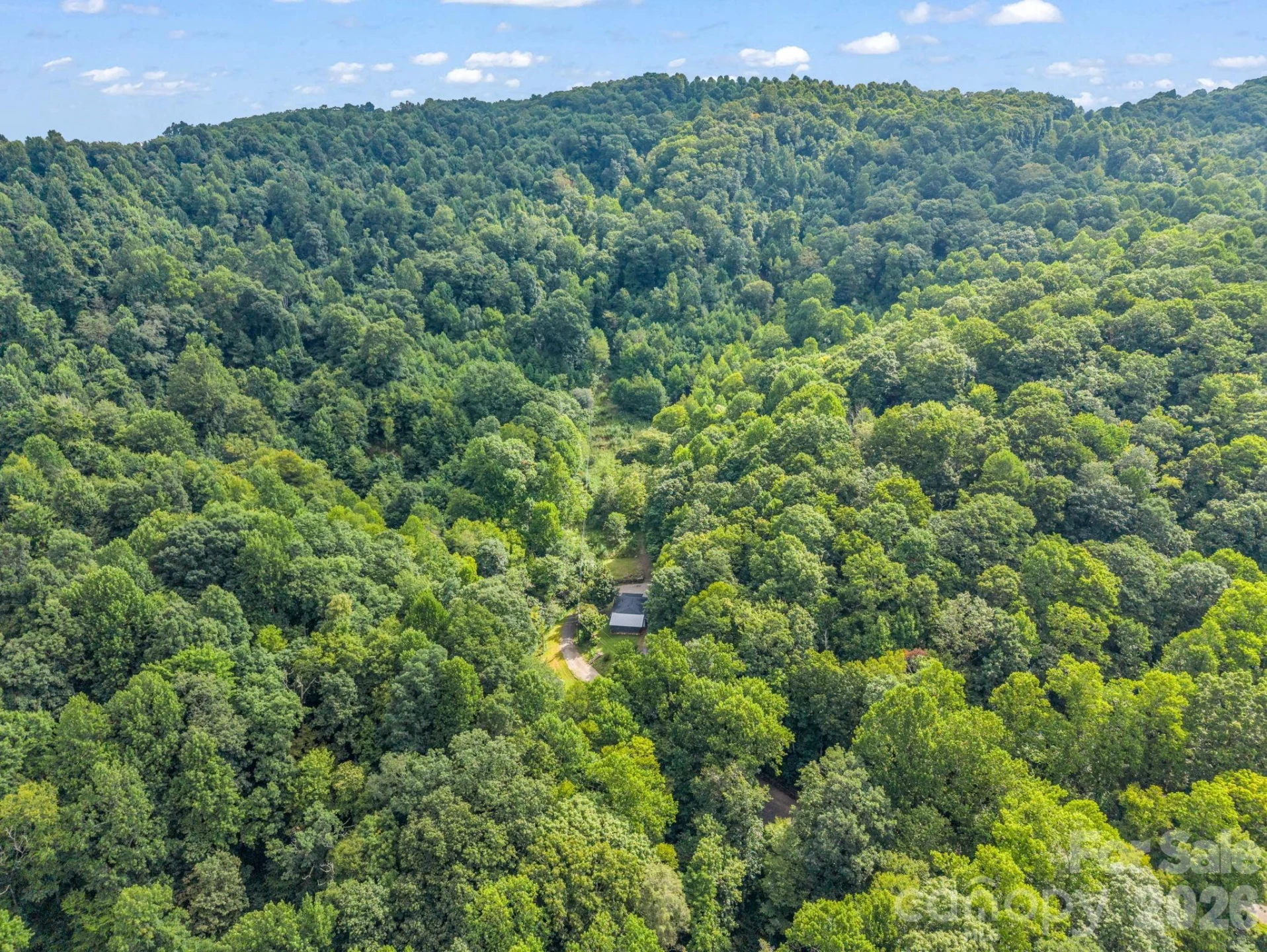 60 Owenby Cove Road - Photo 37