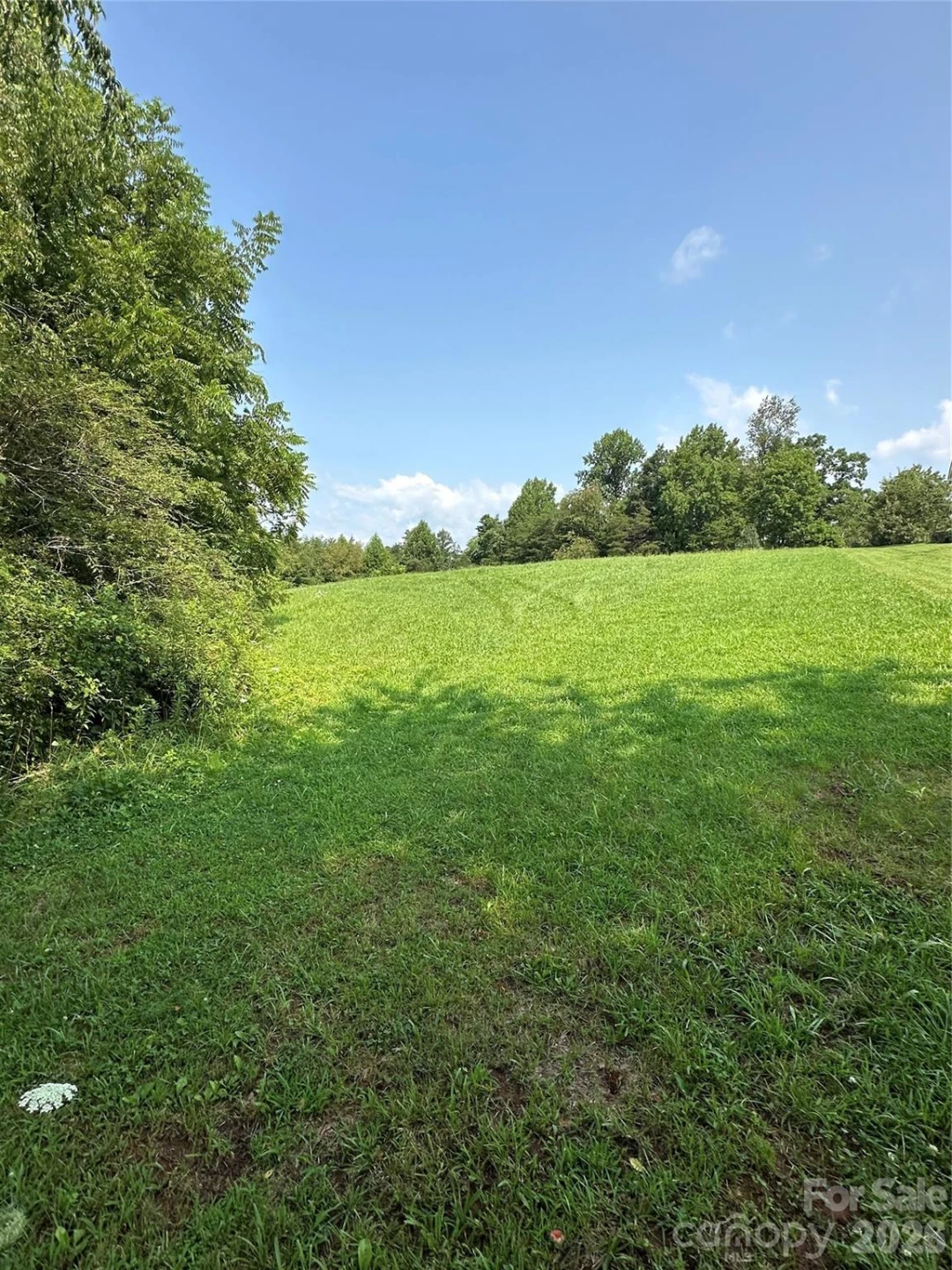 V/L E Payne Road - Photo 2