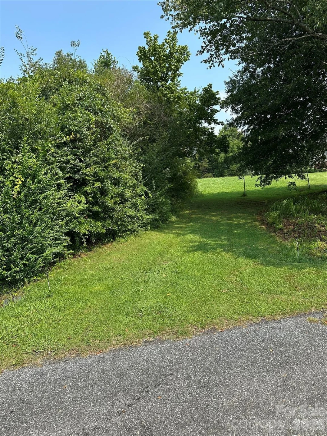 V/L E Payne Road - Photo 3