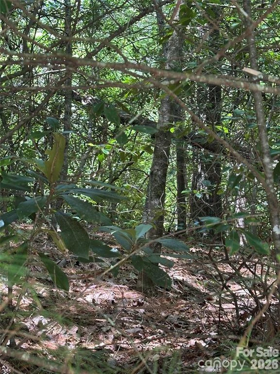 66 Boone Cove Road - Photo 3