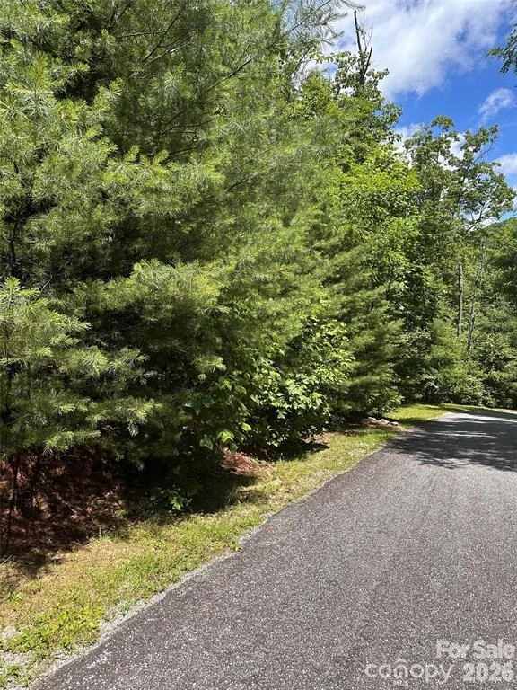 66 Boone Cove Road - Photo 10