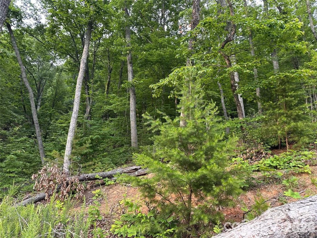 0 Golden Ridge Drive - Photo 2