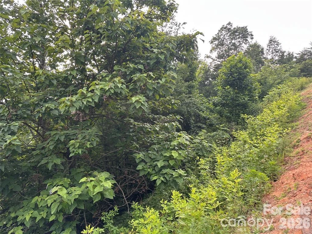 0 Golden Ridge Drive - Photo 3