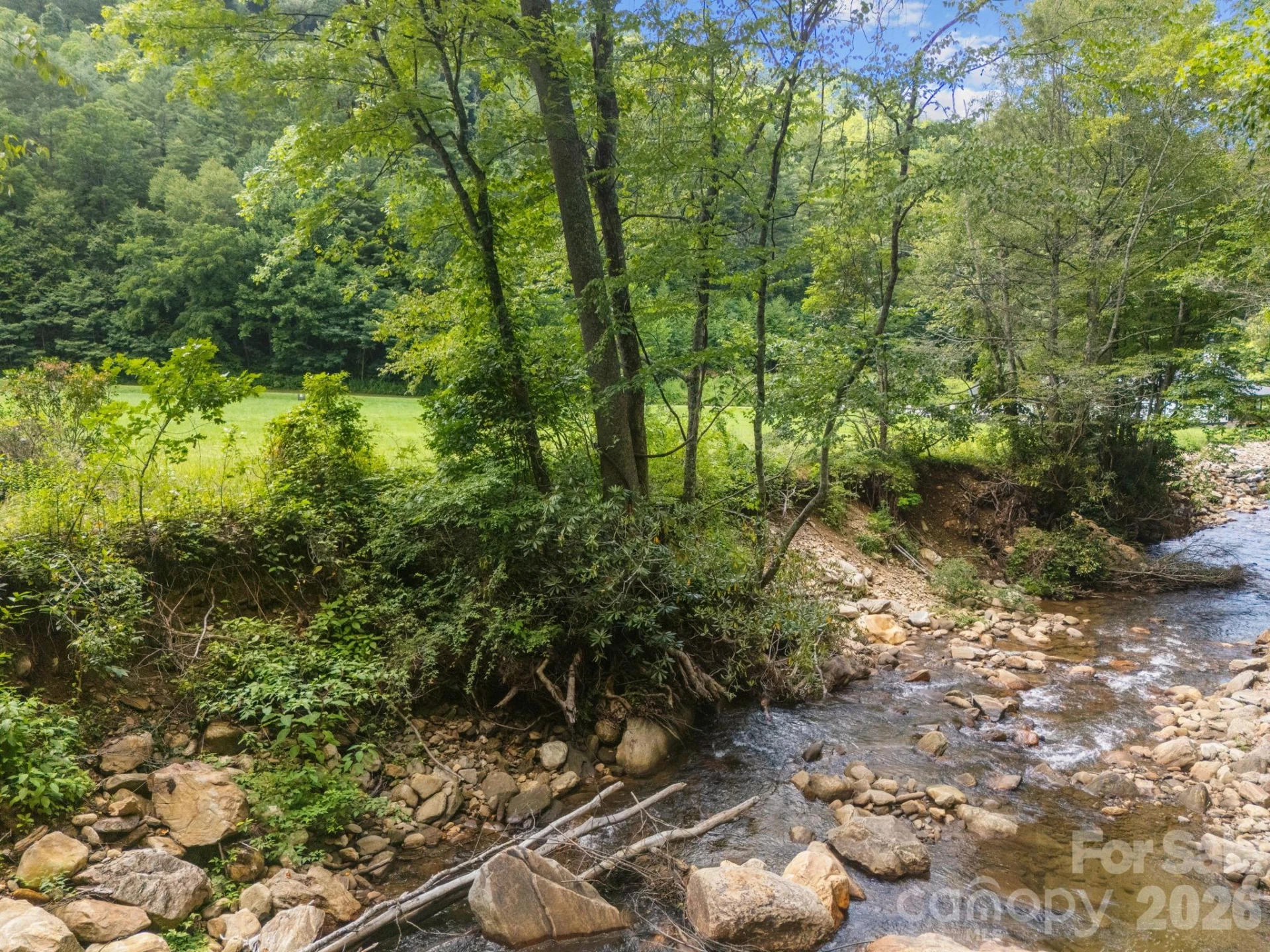 00 Shining Rock Drive #22 - Photo 4