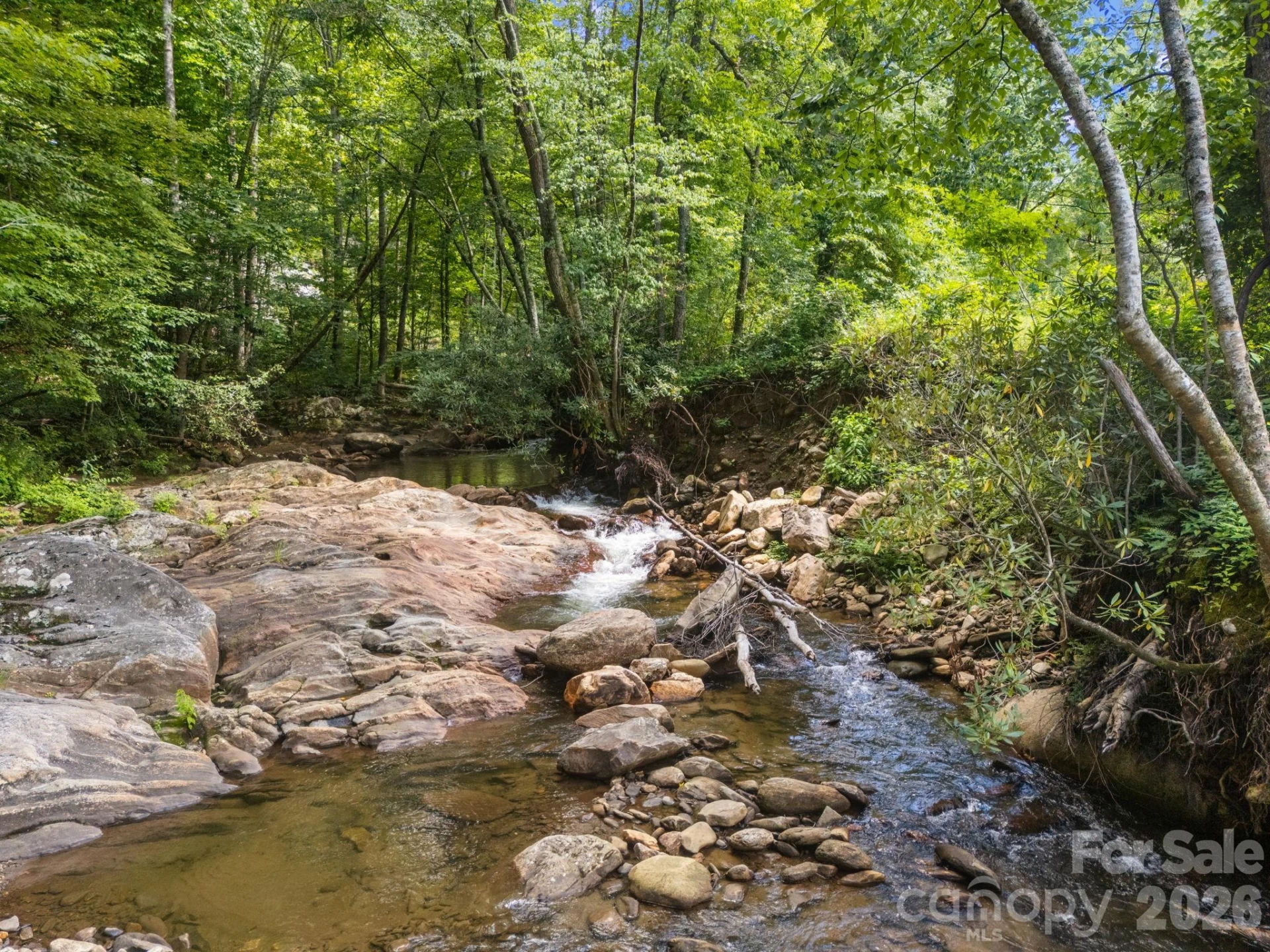 00 Shining Rock Drive #22 - Photo 5