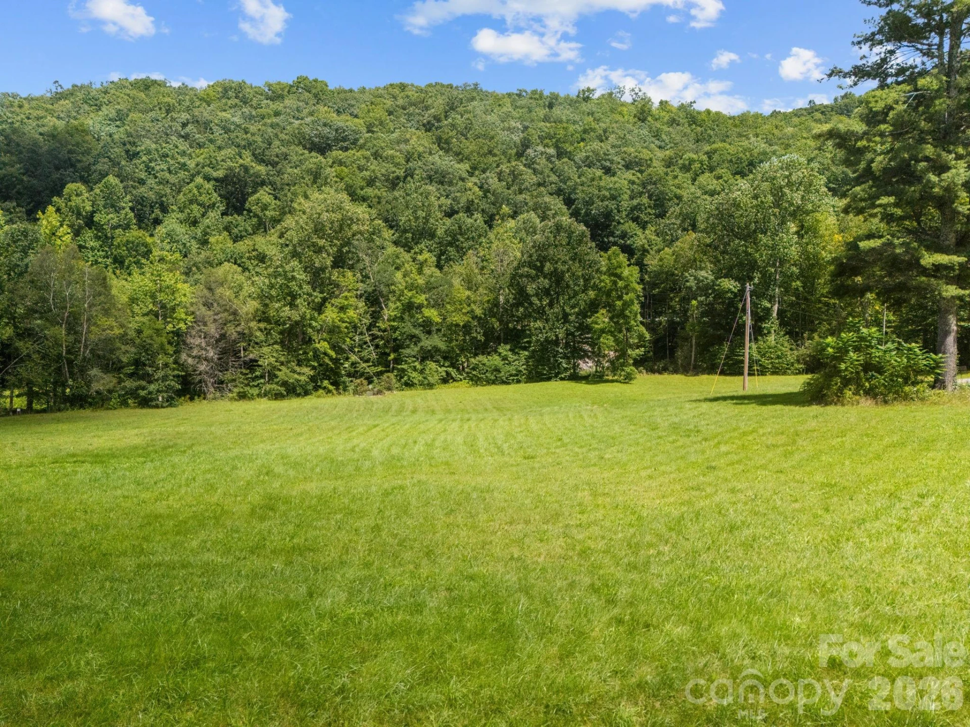 00 Shining Rock Drive #22 - Photo 9