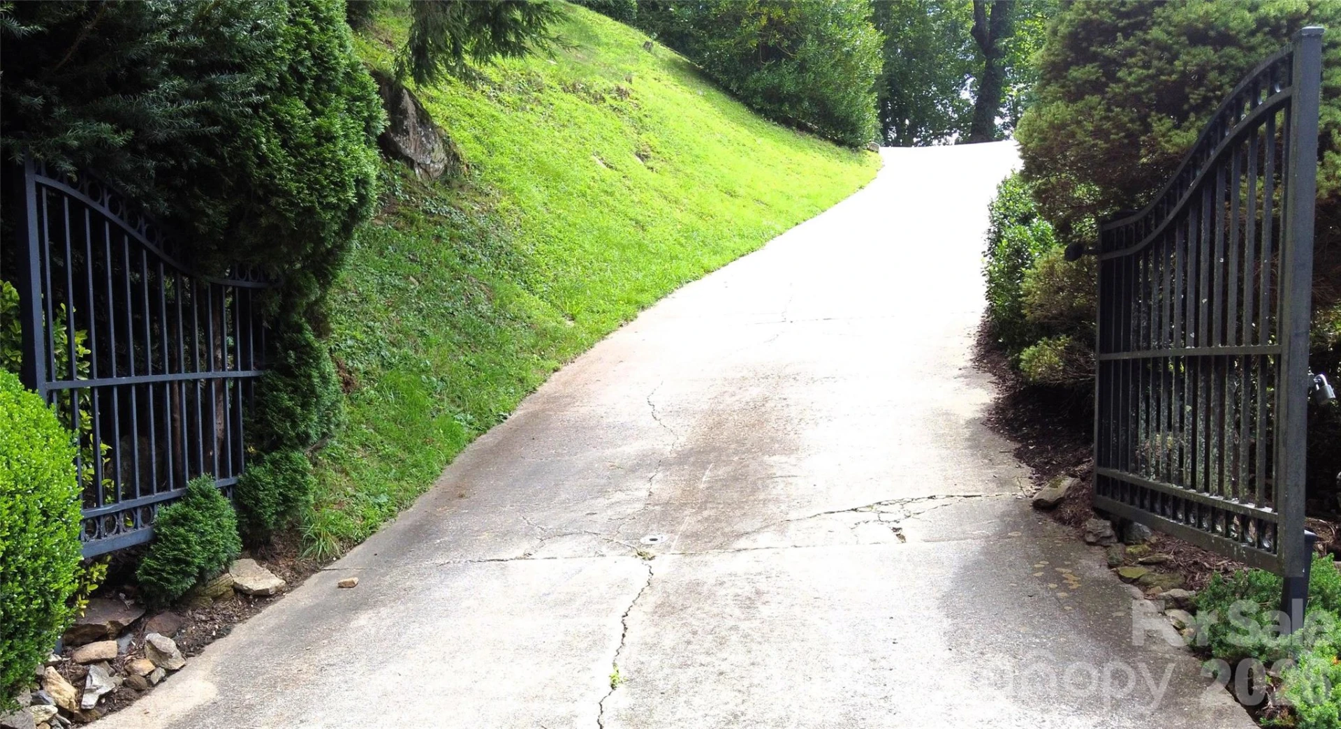 509 Deer Creek Trail - Photo 2